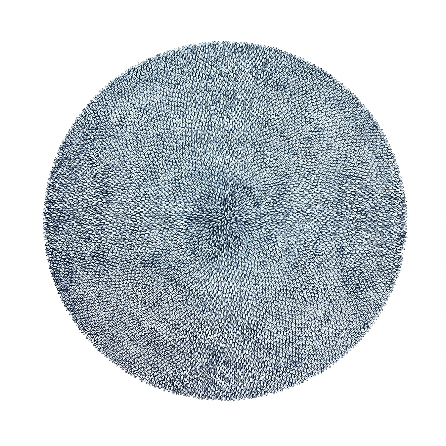 Gefüllte Blüte V/I, Lithografie, 50 x 50 cm, 2026, Auflage 4