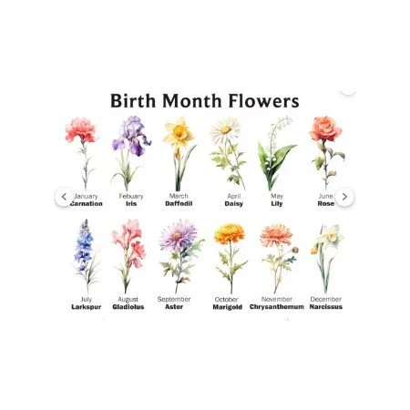 grandma's garden.jpg