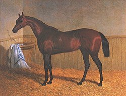 February Tunes - 2026