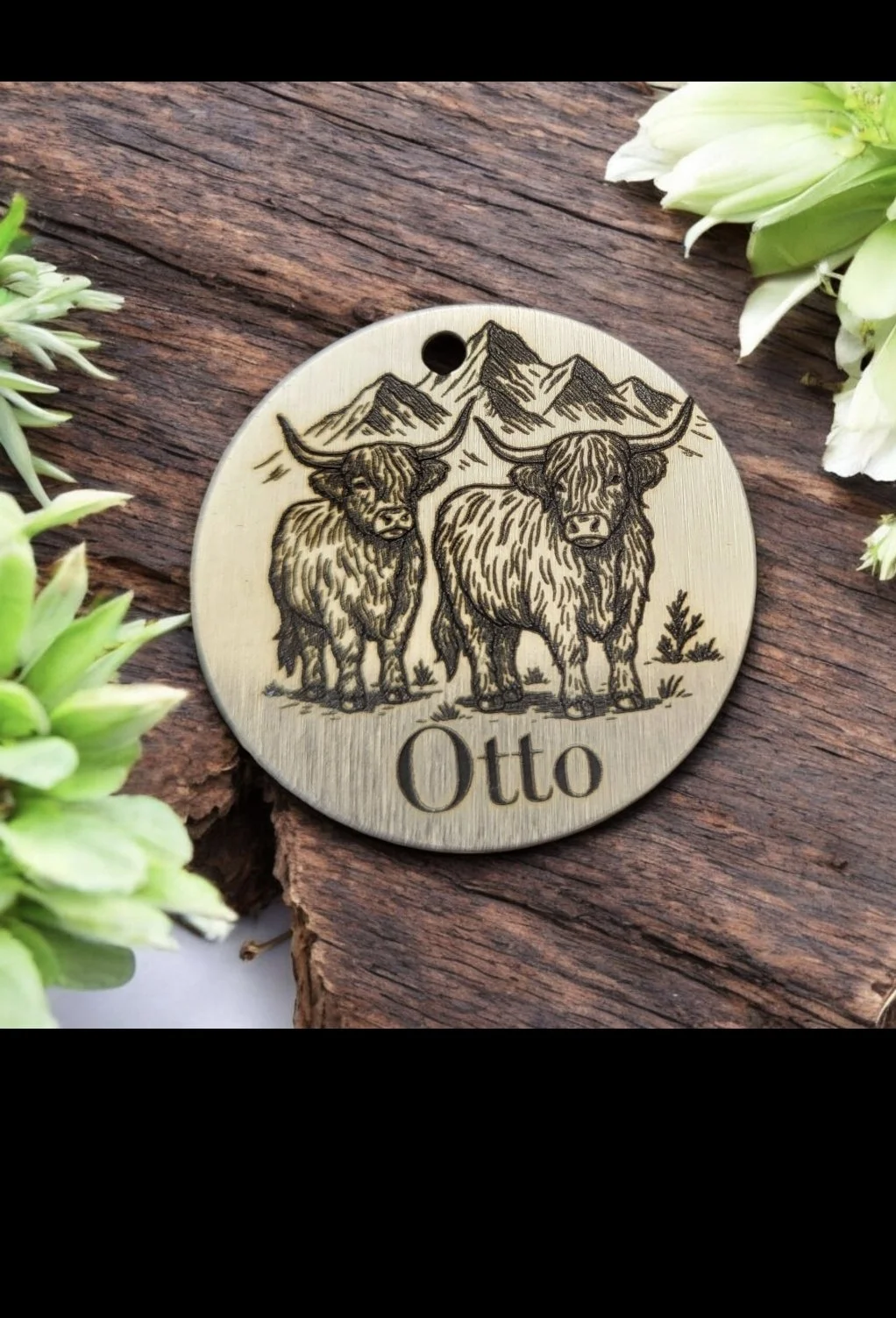 Highland cow- set design