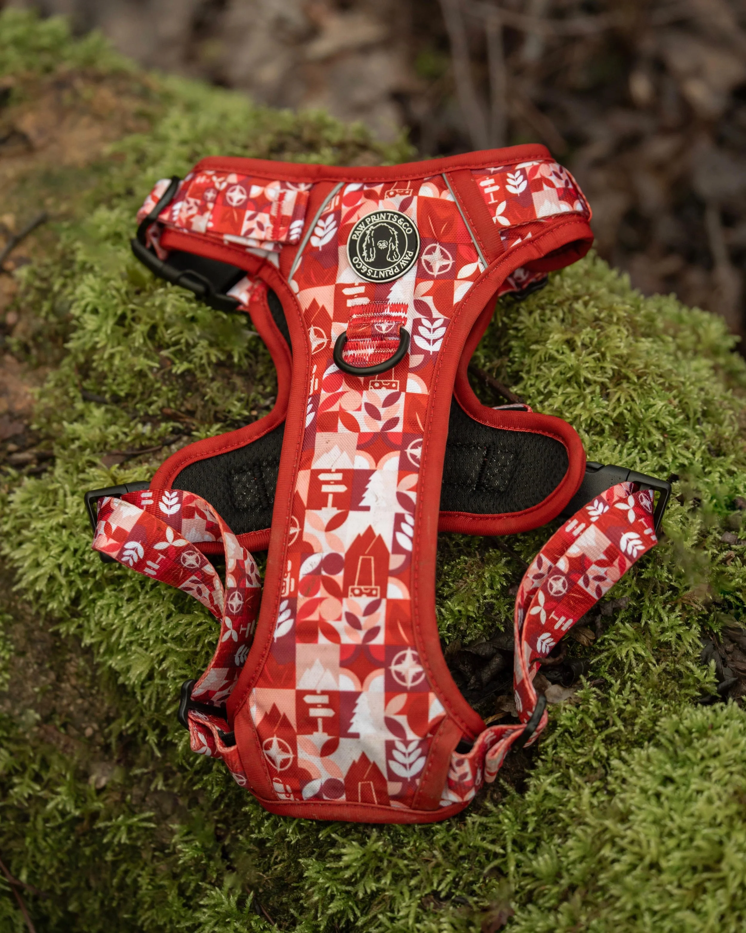 Wild Wanders harness