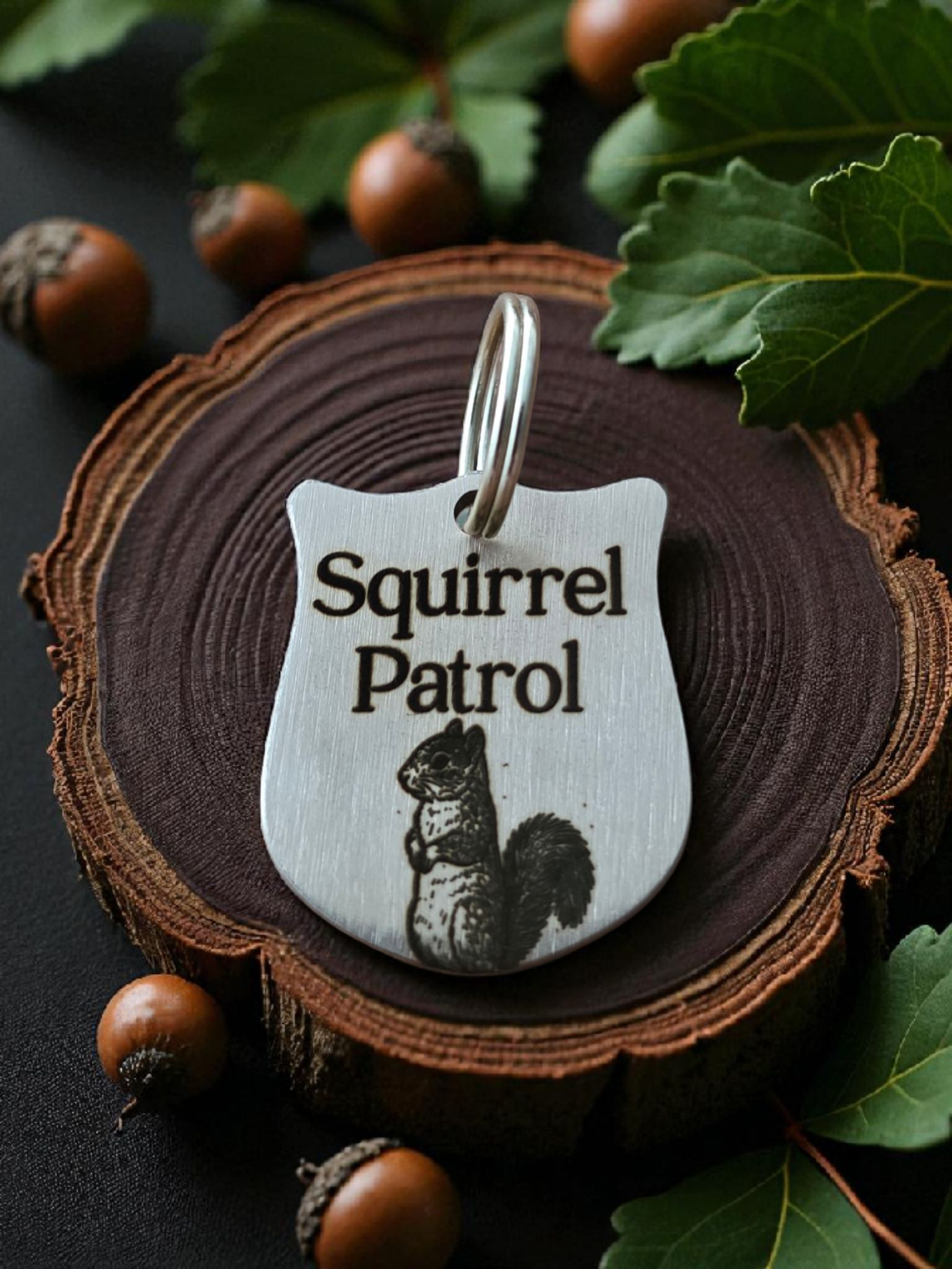 Squirrel patrol