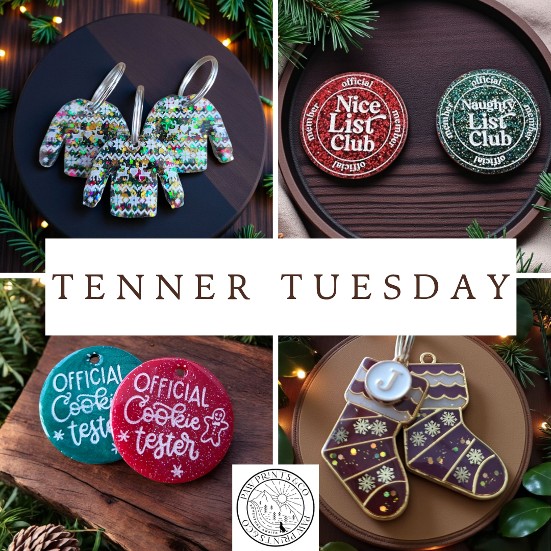 Copy of Copy of Copy of Copy of Copy of Copy of Launch_20251118_115054_0000.png