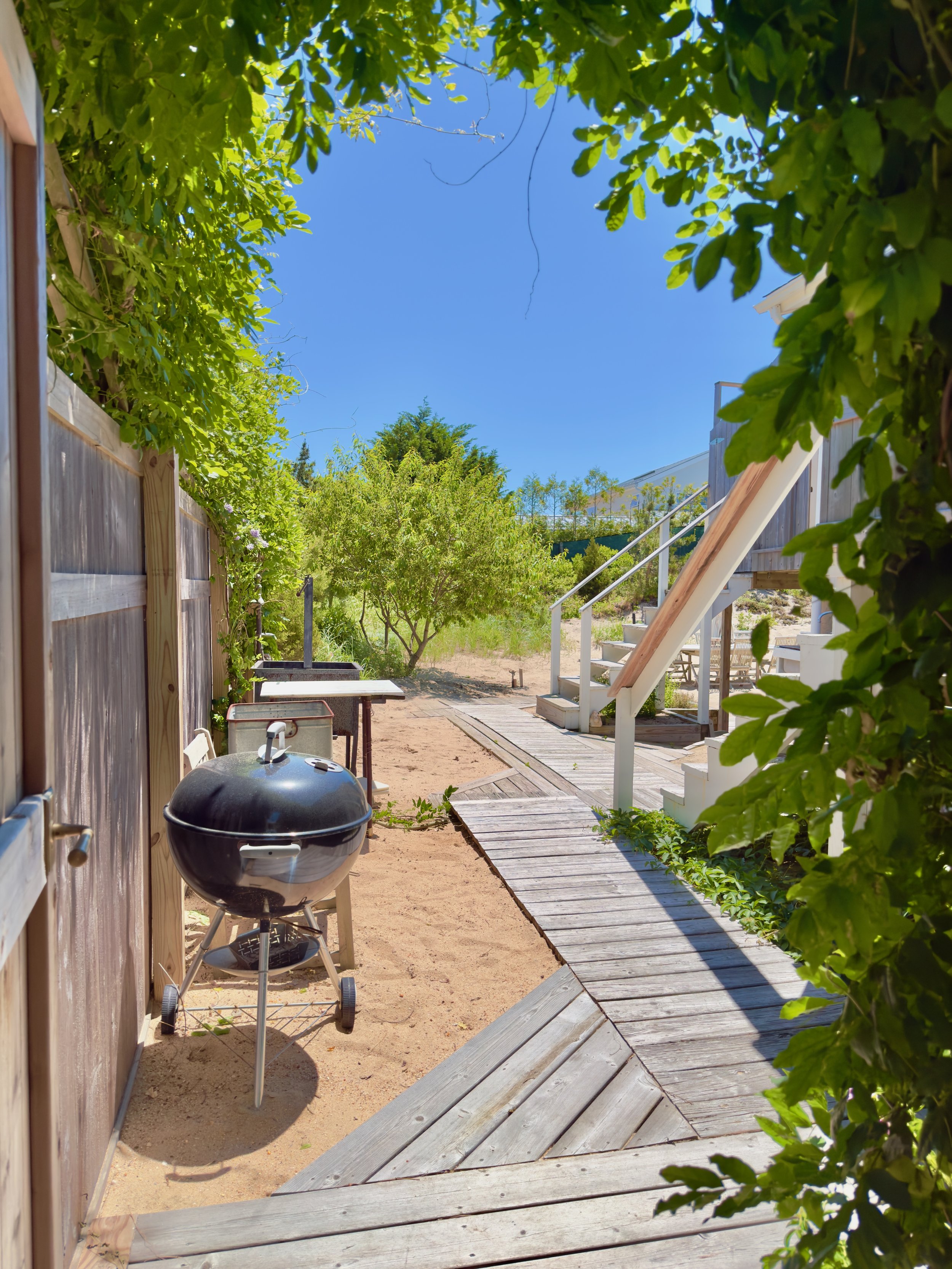 Back Yard - 2026 - 6.jpeg