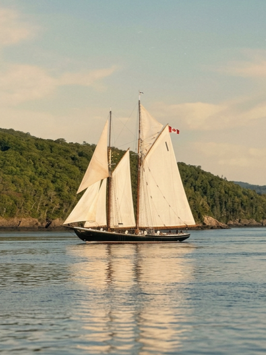 A tall ship with white sails sailing on calm water near a forested coastline under a partly cloudy sky.