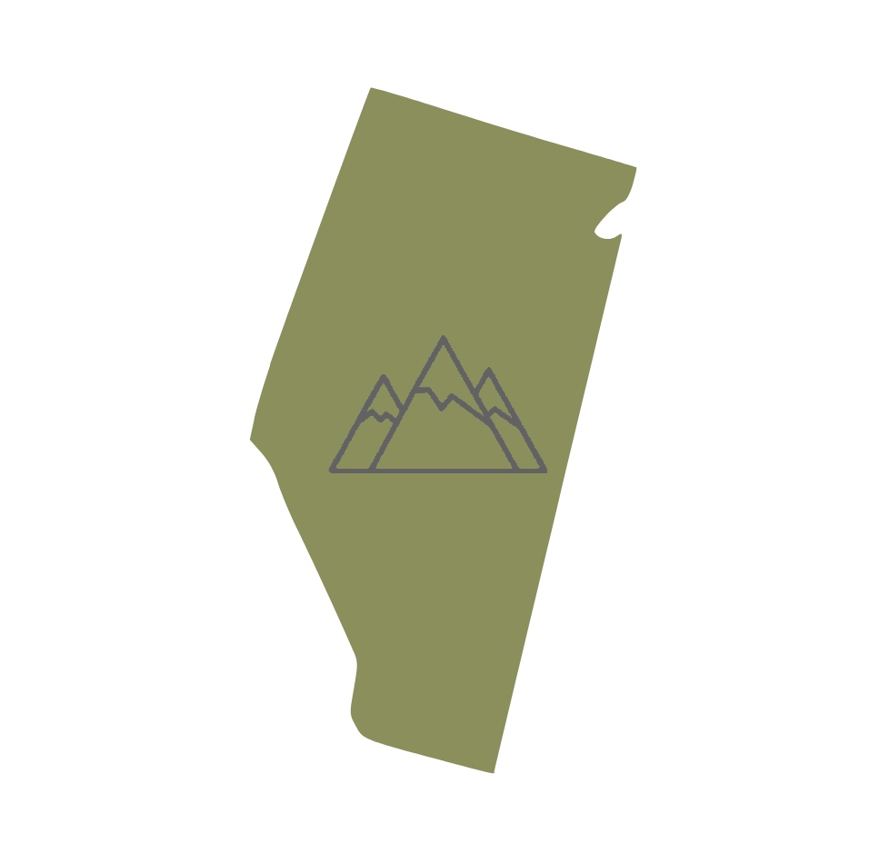 Outline of the state of Nevada with a mountain range symbol inside.