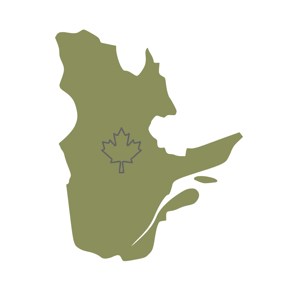 Map of Ontario, Canada, with a green silhouette of the province and a grey outline of a maple leaf in the center.