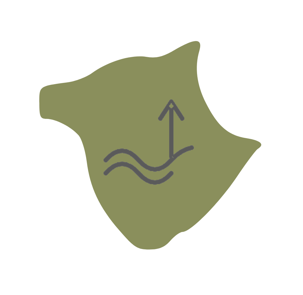 Map icon of South Carolina with an arrow and water waves symbol.