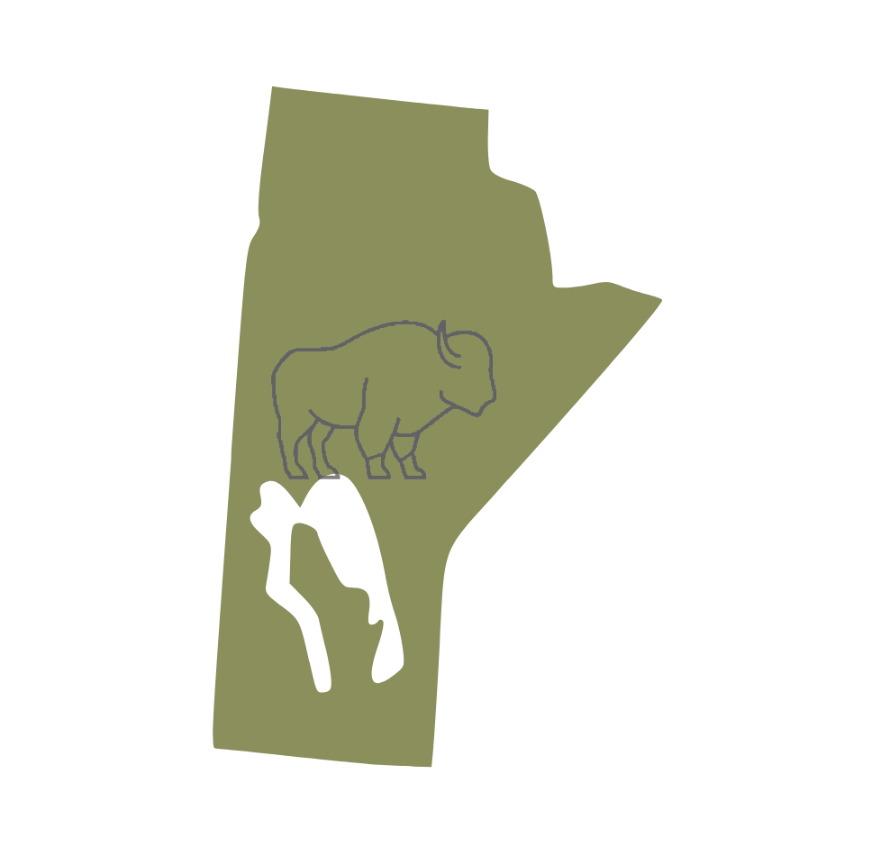 Illustration of the state of Wyoming with a buffalo symbol and the silhouette of a horse.