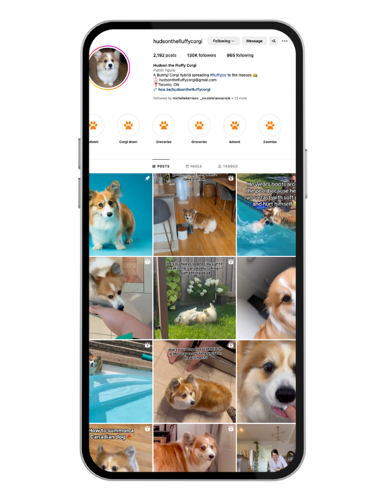 WEBSITE - PORTFOLIOS (5).png