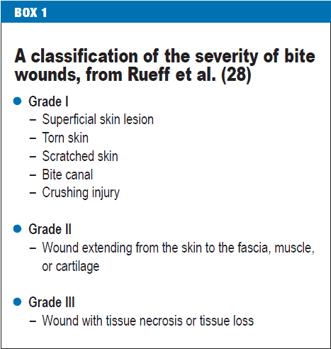classification.gif
