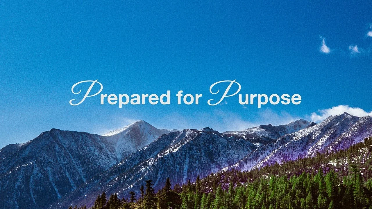 Prepared for Purpose