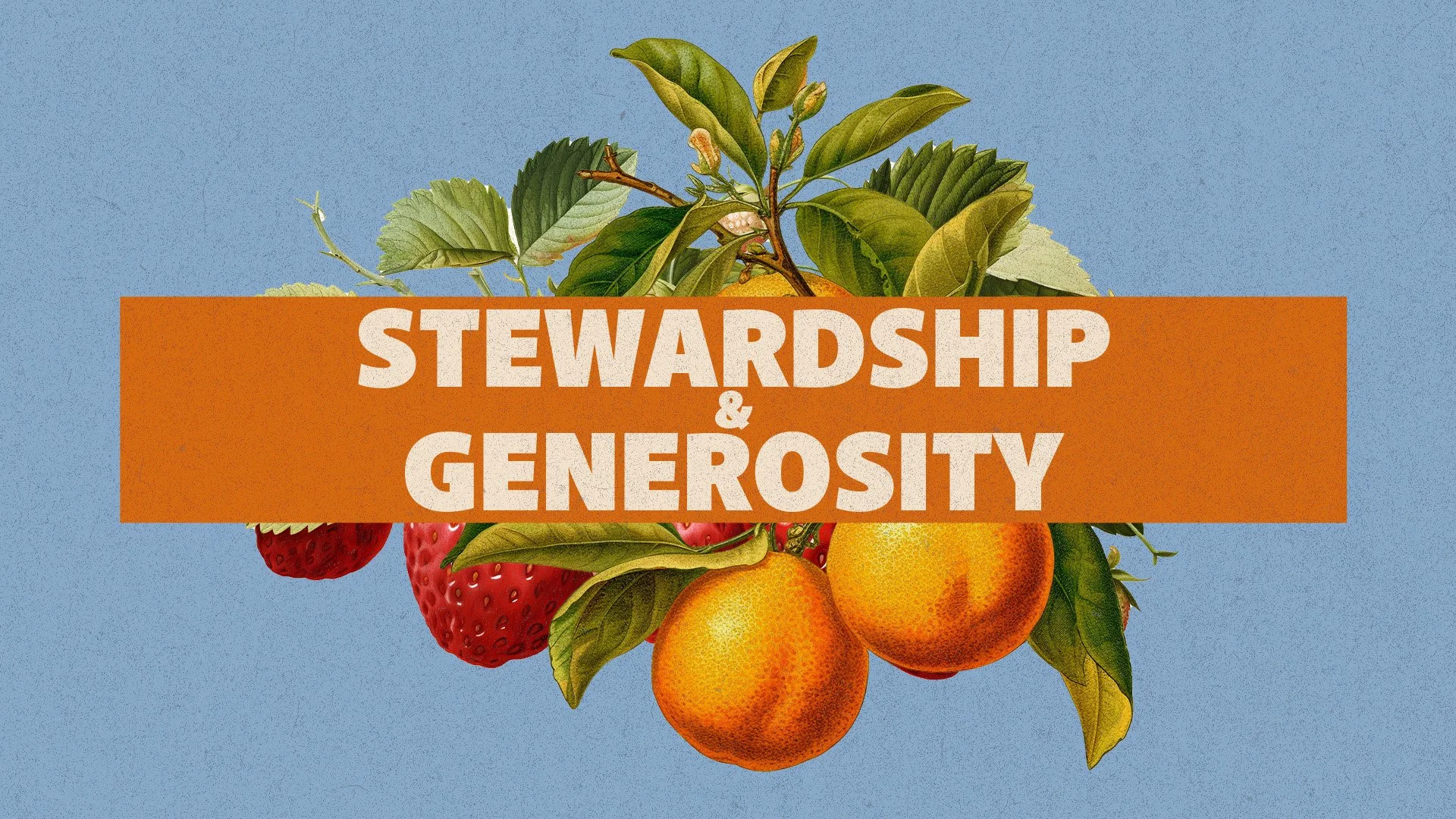 Living Your Life As A Steward