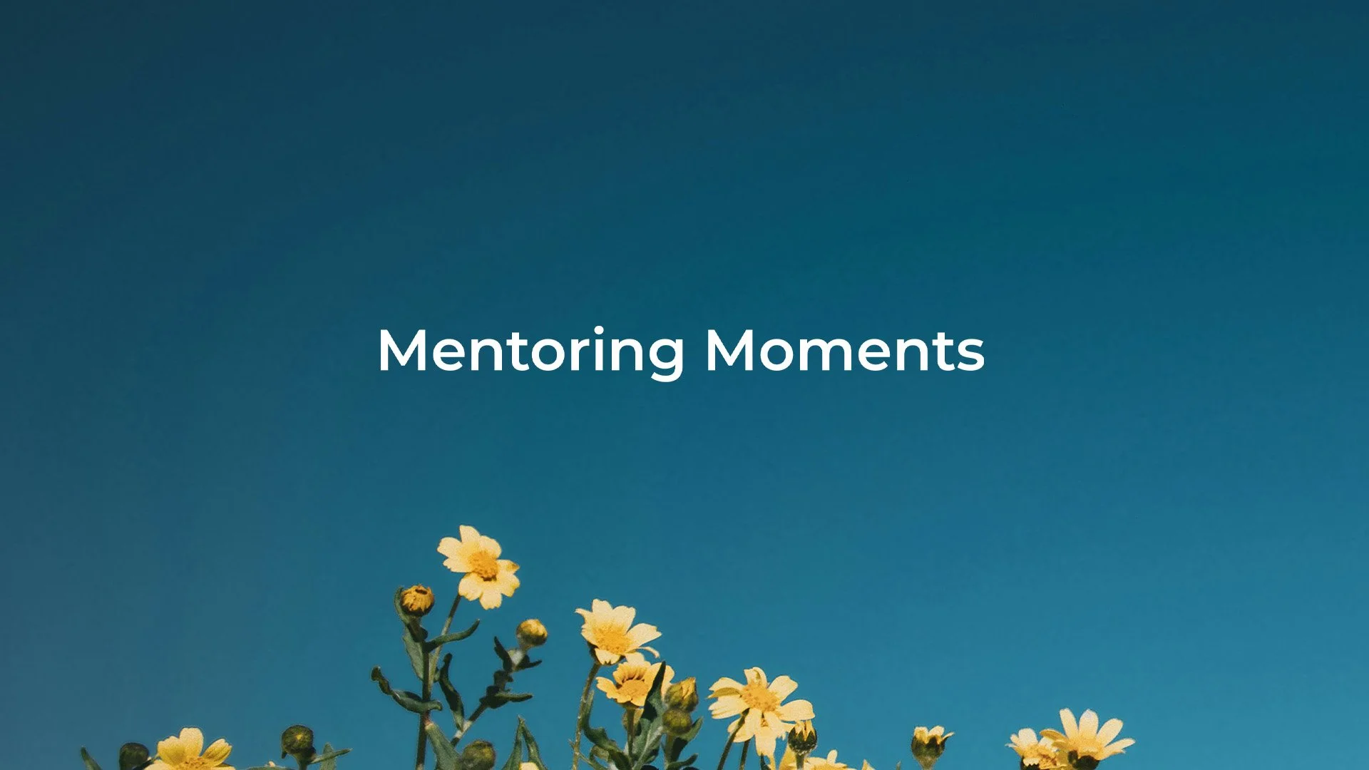 MENTORING MOMENTS