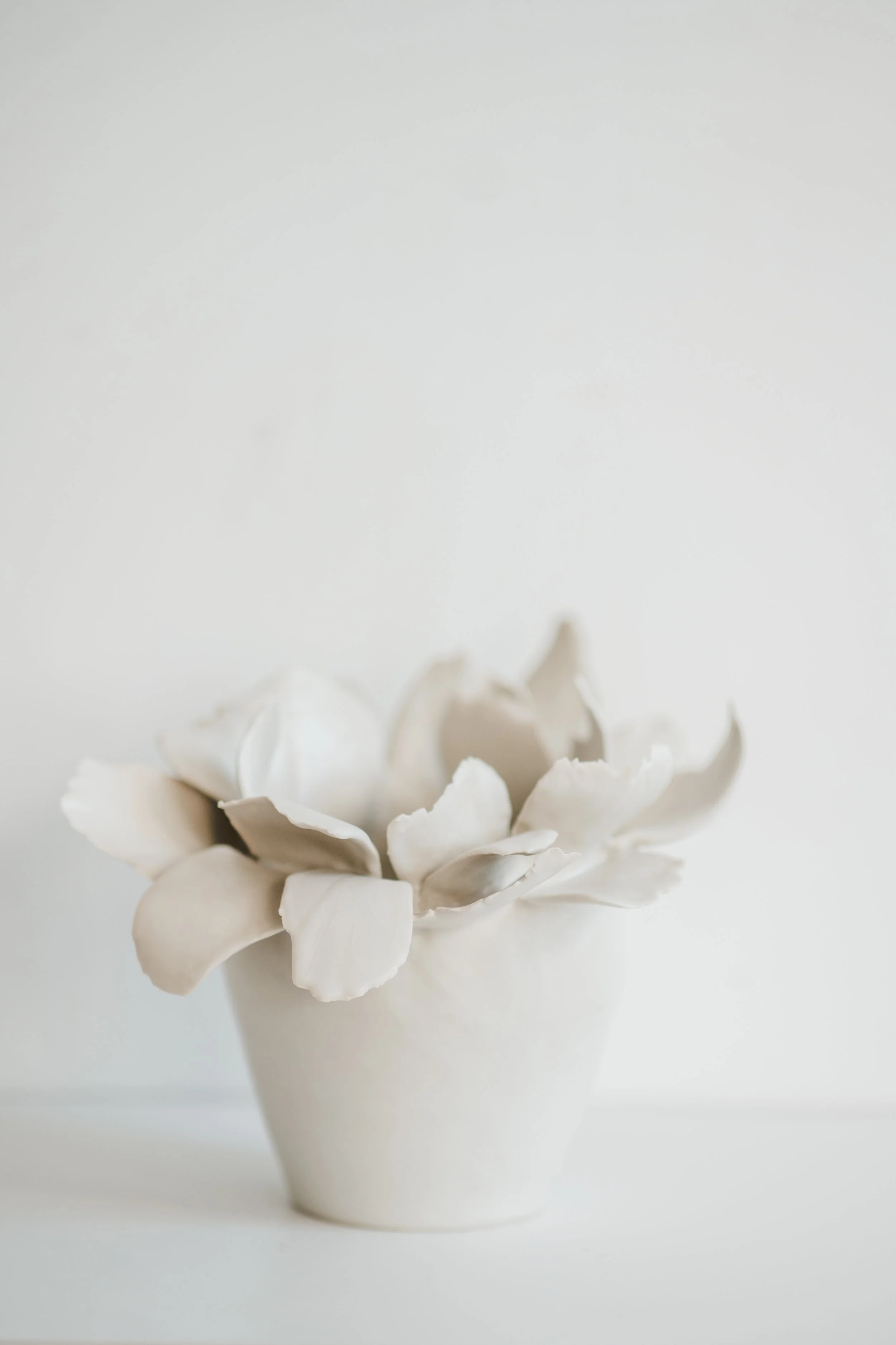 CeeAndShe_GardenVessel_No08_0008.jpg