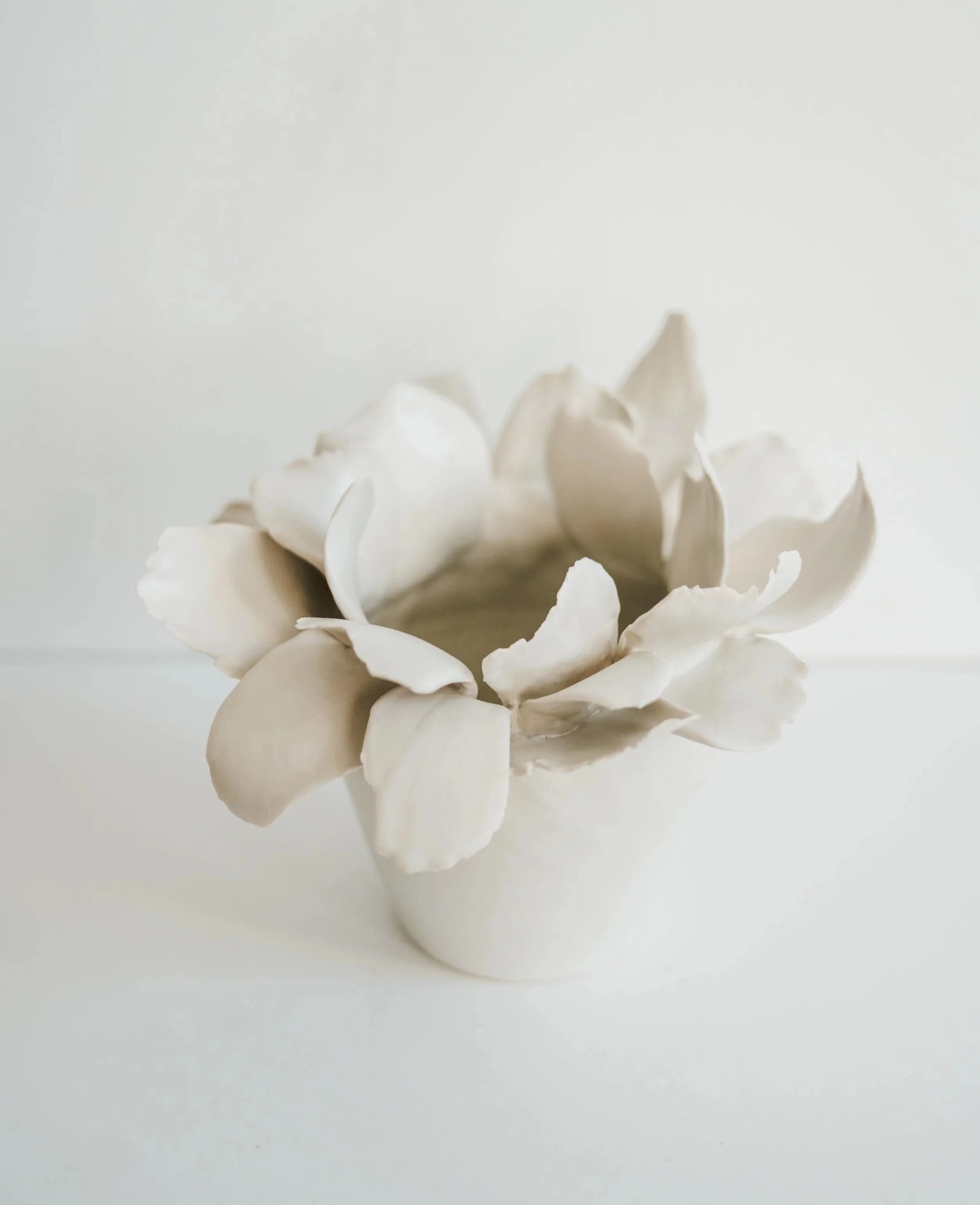 Garden Vessel No. 8