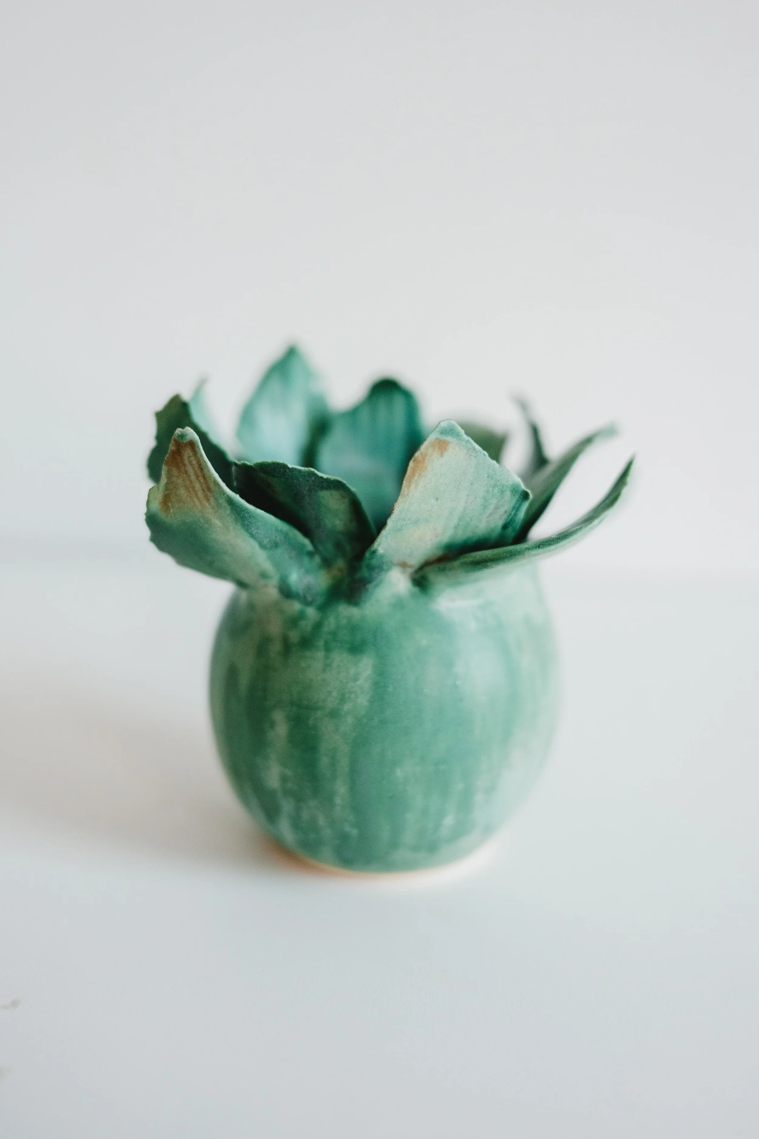 CeeAndShe_MiniGarden_Copper_2026_0005.jpg
