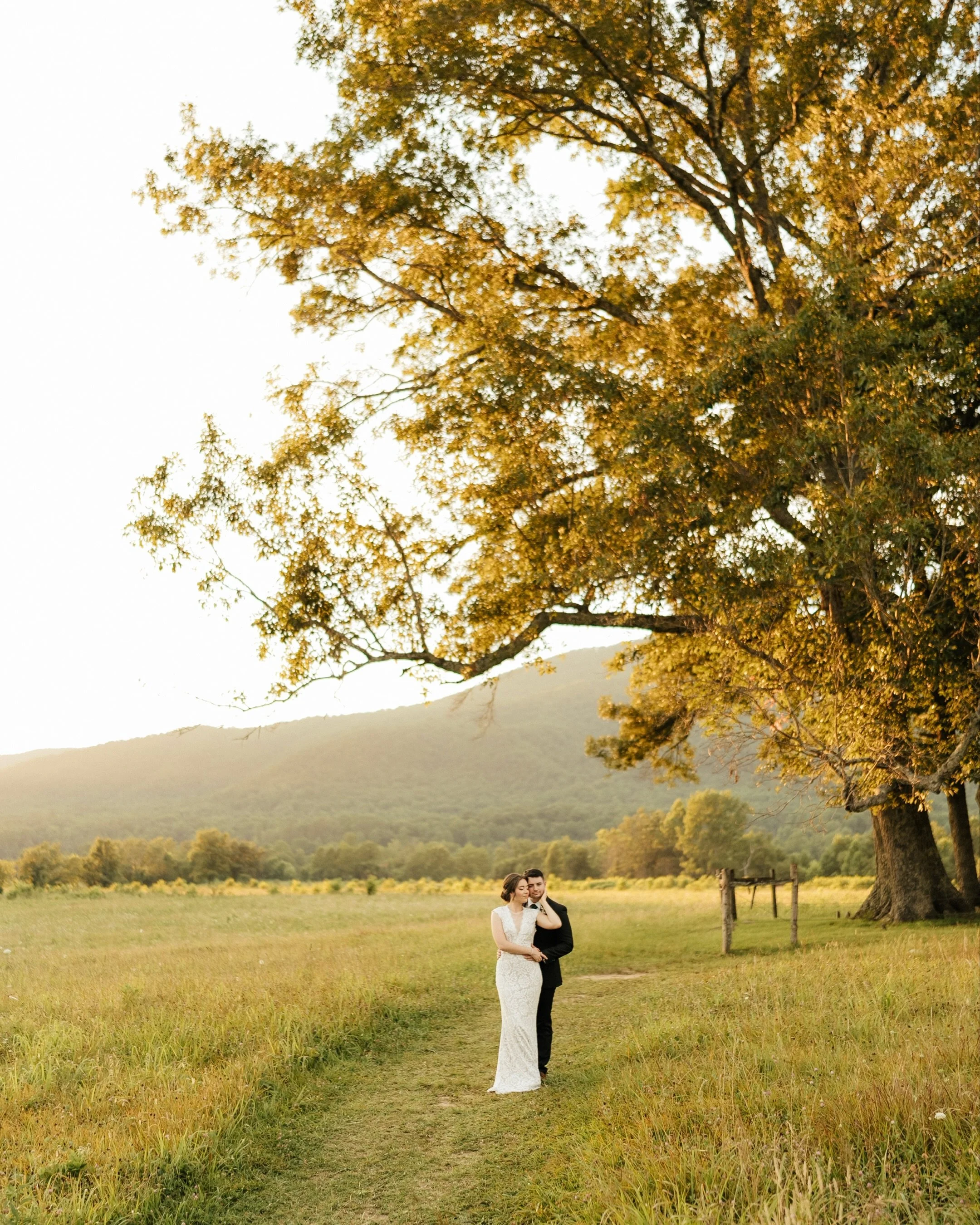 A&amp;N Cades cove elopement 💍part #1 simply intimate and charming 🗻