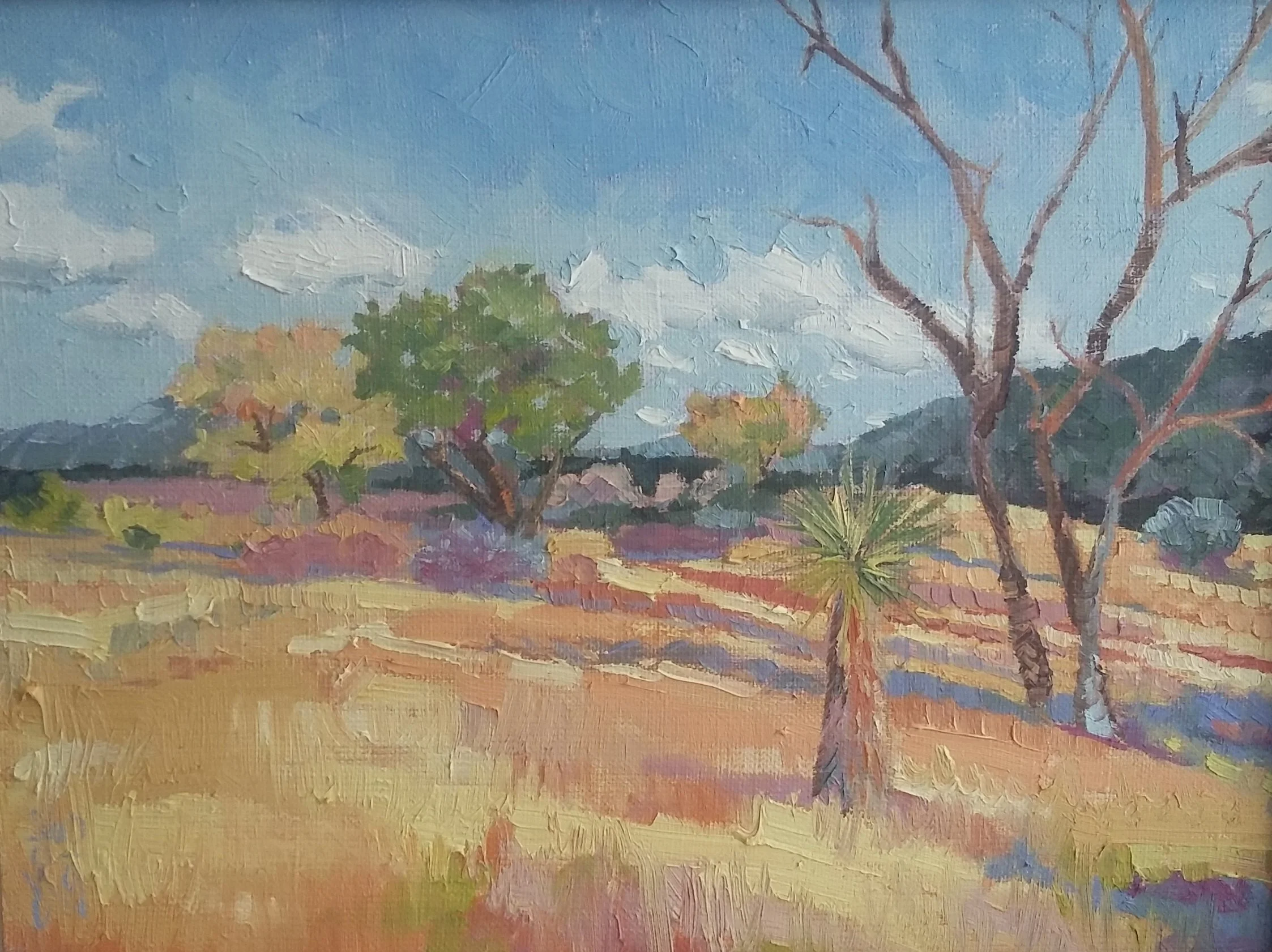 Mimbres View
9x12"
oil
325.