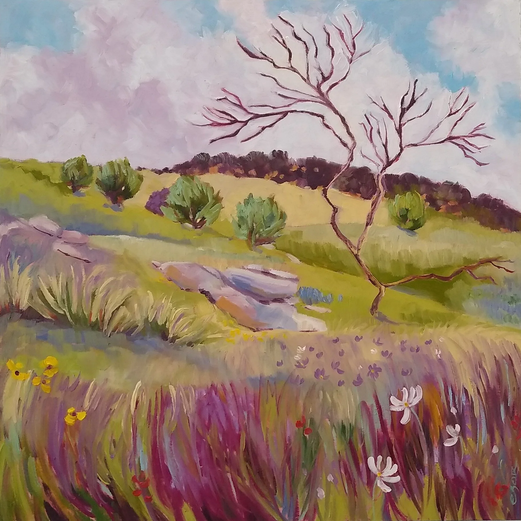 Hidden Spring
18x18
oil
800.