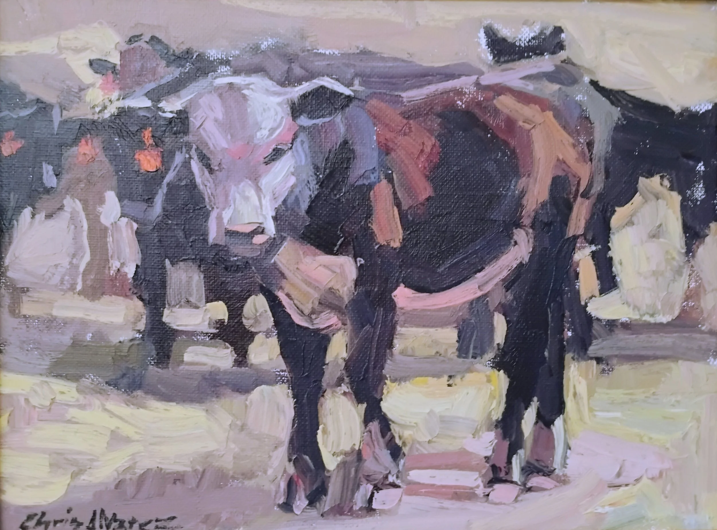 Beau vine Devine
9x12"
oil
600.