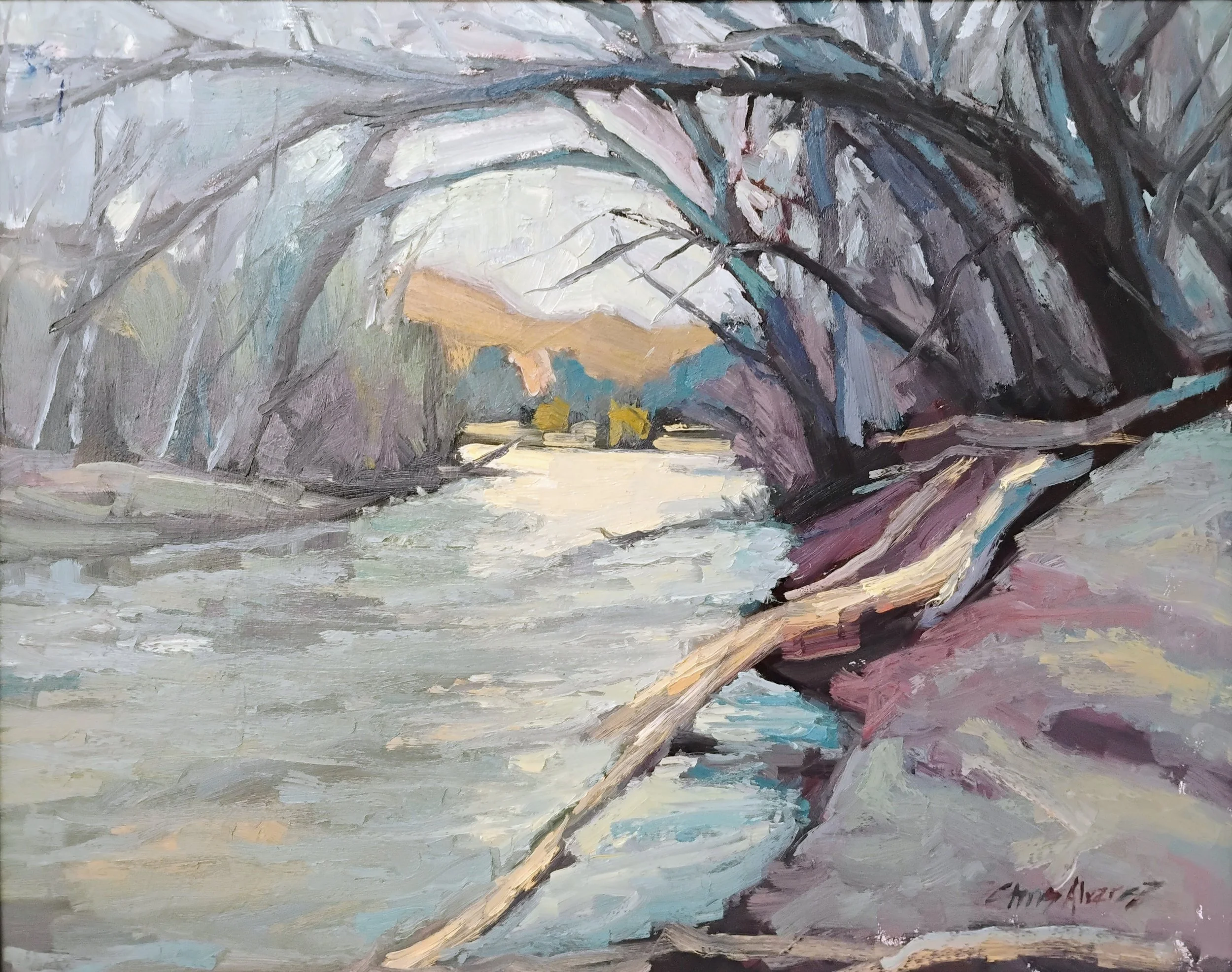 Gila Verde
18x24"
oil
1,000.