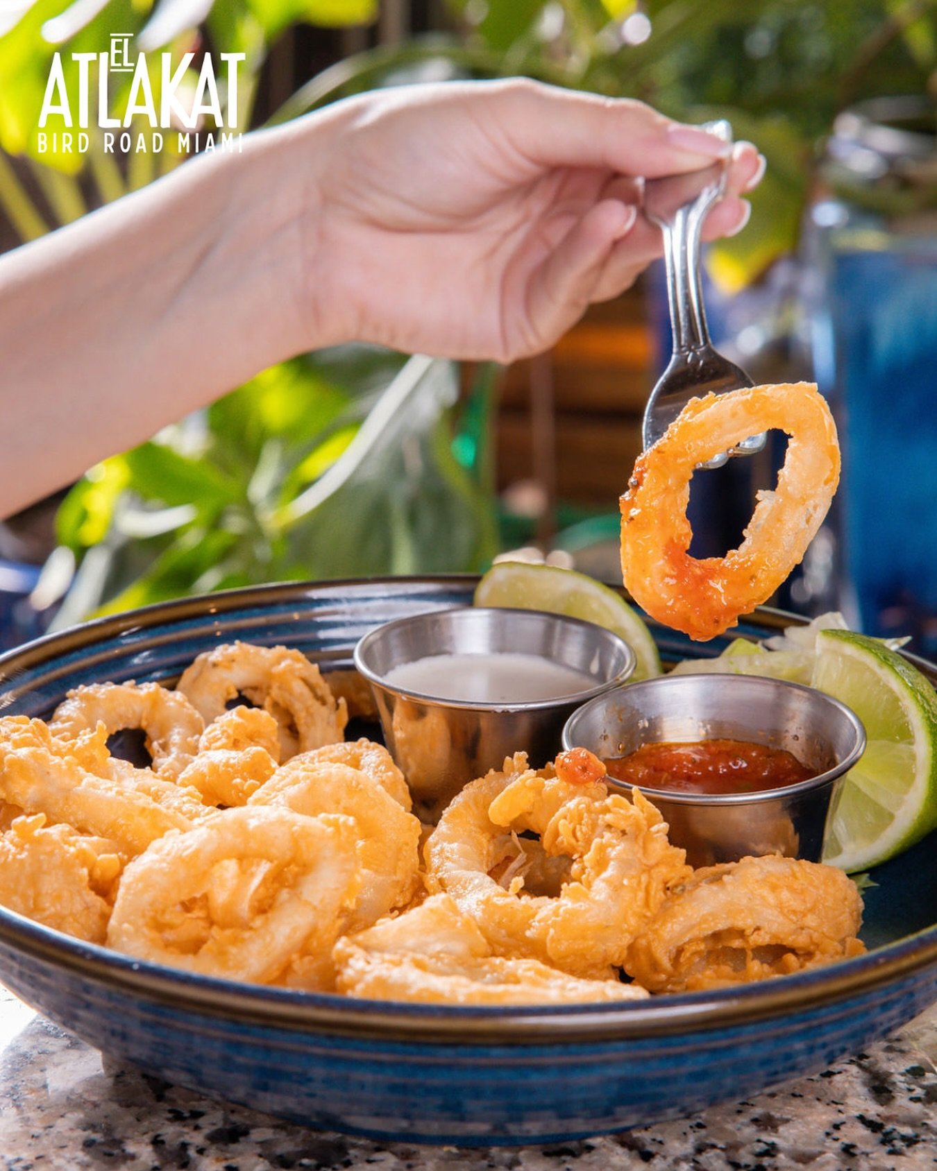 Golden, crispy, and calling your name 🦑✨ Come get your bite of El Atlakat&rsquo;s Fried Calamari!

ONLY AT BIRD ROAD: 9425 S.W. 40th. Street. Miami, FL 33165&nbsp;
💻 Orders, delivery and reservations at www.elatlakat.com
☎️ (305-552-9090) or ☎️ (30