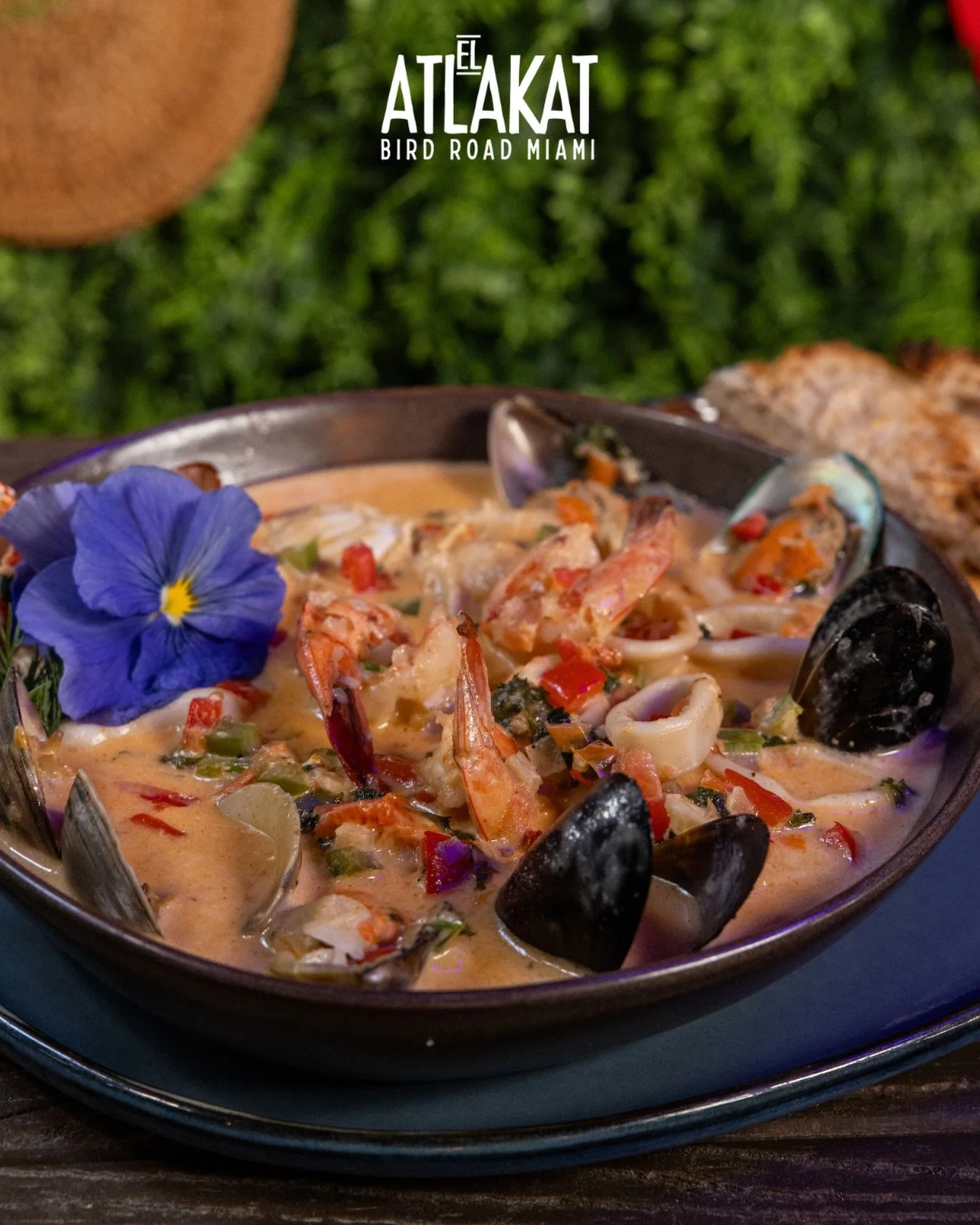 Seafood lovers, this one&rsquo;s for you 🌊🔥 A rich, creamy Salvadoran mariscada loaded with shrimp, shellfish, and BIG flavor 😍

ONLY AT BIRD ROAD: 9425 S.W. 40th. Street. Miami, FL 33165&nbsp;
💻 Orders, delivery and reservations at www.elatlakat