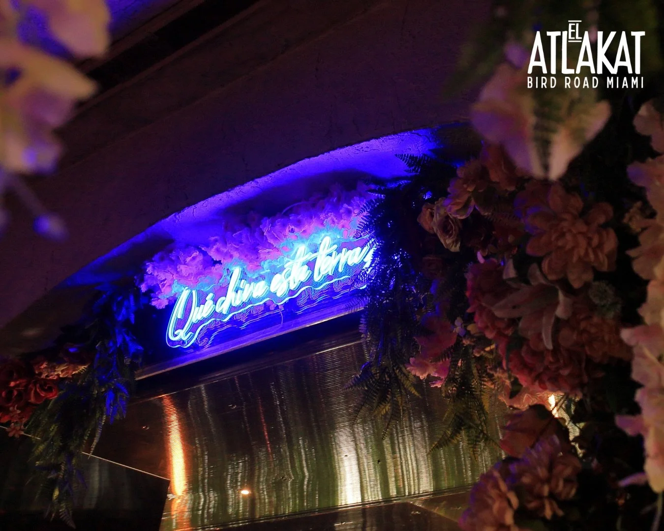 El Atlakat Bird Road 🌿✨ Where tradition, flavor, and atmosphere come together.

ONLY AT BIRD ROAD: 9425 S.W. 40th. Street. Miami, FL 33165&nbsp;
💻 Orders, delivery and reservations at www.elatlakat.com
☎️ (305-552-9090) or ☎️ (305-552-1918)
&nbsp;

