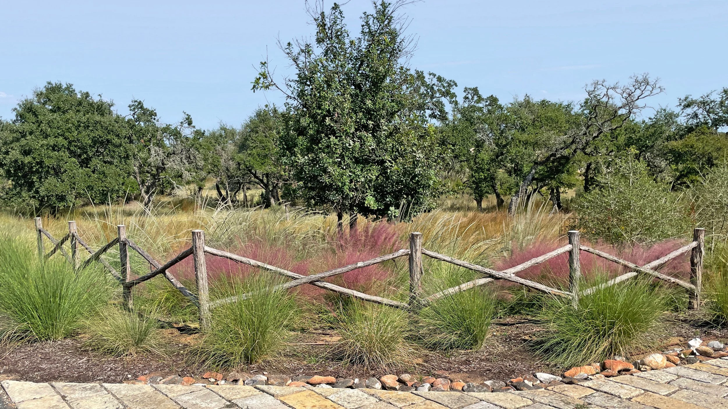 Boot Ranch | Twistleaf