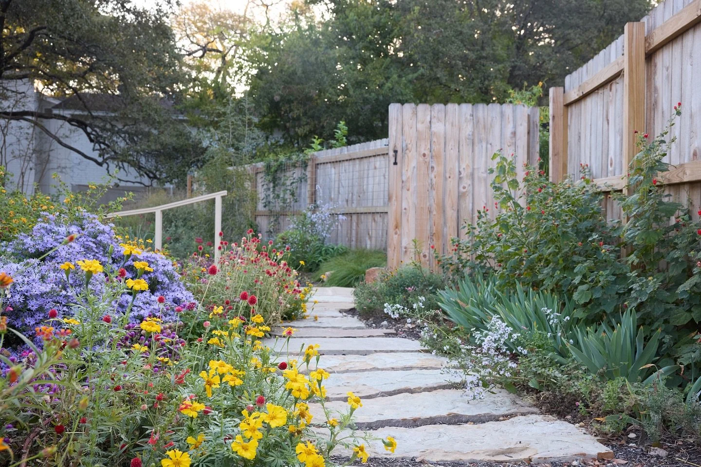 We&rsquo;re excited to announce that tickets are on sale for the Travis County Open Day garden tour on Saturday, November 8th! We&rsquo;re kicking things off with an introduction to our first featured garden: Pollinators&rsquo; Paradise.

When longti