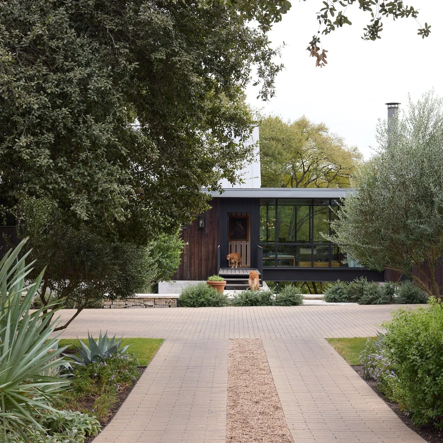 We&rsquo;re thrilled to share our second featured garden for the Travis County Open Day tour on Saturday, November 8th: Belmont Parkway.

Tucked into a forested setting in central Austin, this award-winning project by Studio Balcones embraces the sit