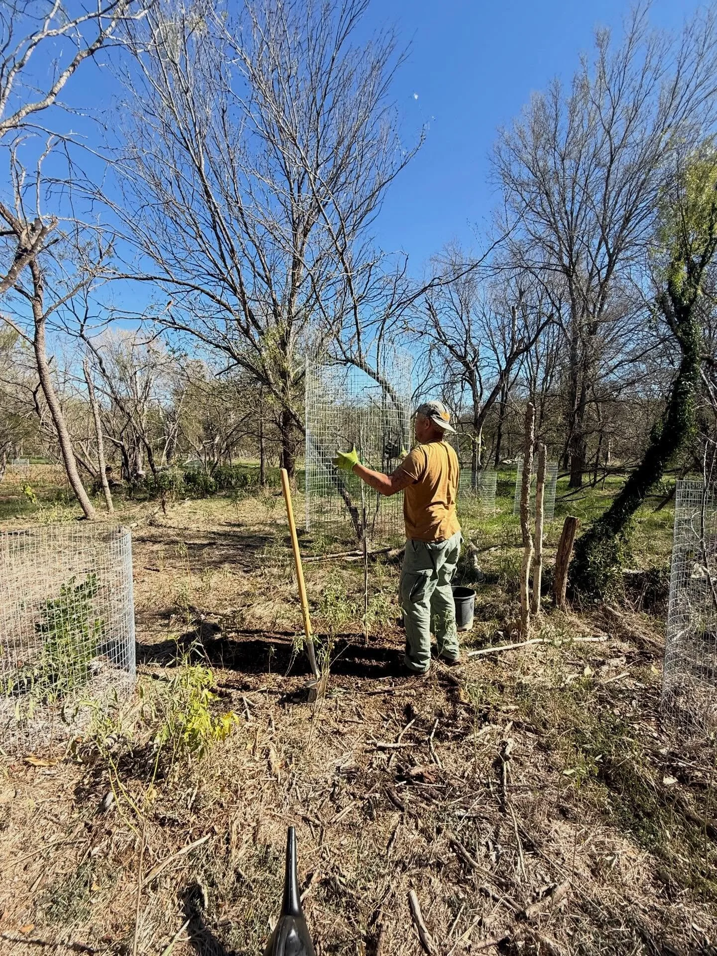 Recently we attended a Community Tree Planting Day at Roy Guerrero Metropolitan Park. 

It was a beautiful morning spent learning about the fascinating role of the soil microbiome in supporting healthy trees - work that helps build a resilient urban 