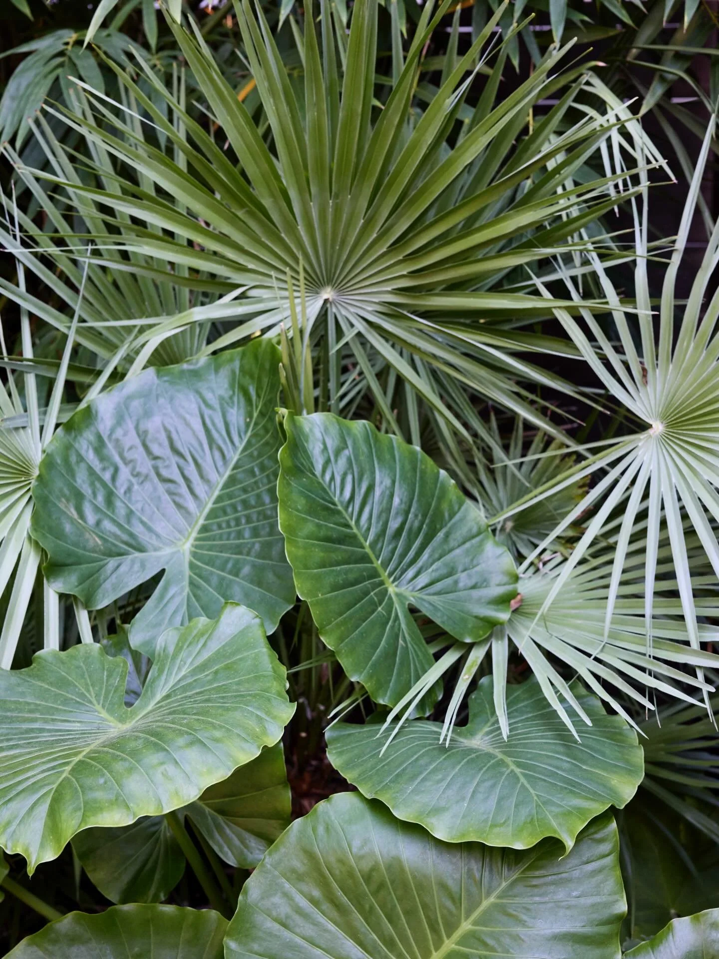 As 2025 comes to a close, we are feeling especially grateful. Over the last two years, we&rsquo;ve volunteered as The Garden Conservancy&rsquo;s regional ambassador for Travis County, and we have some wonderful news related to our work with them. One