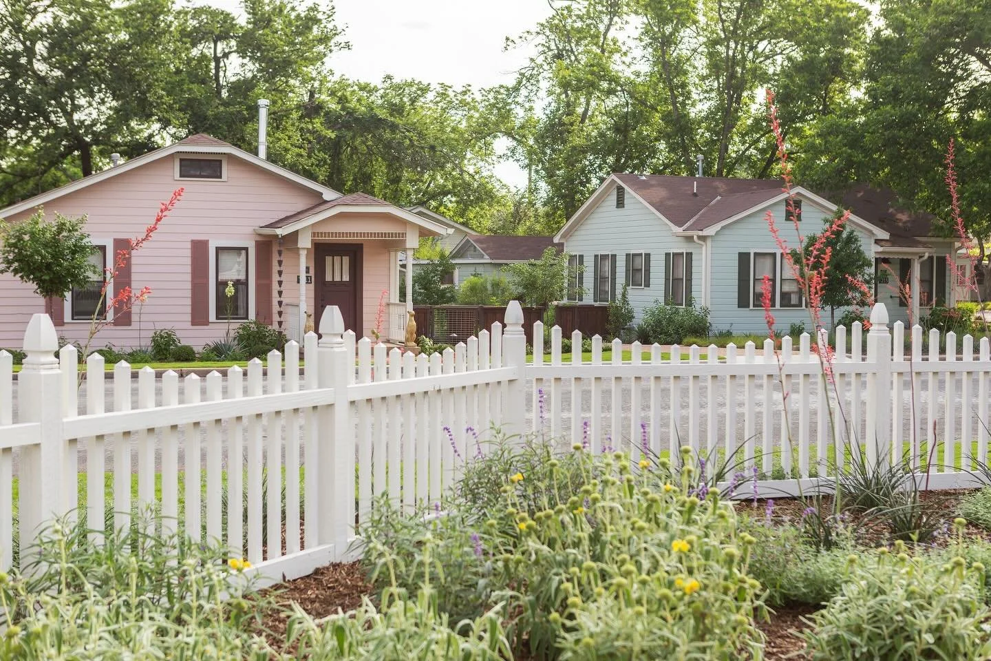 We&rsquo;re excited to share that our Fredericksburg hospitality project, The Menagerie, is featured in Landscape Management magazine! 

The article highlights how we &lsquo;got creative with durable, climate-resistant plantings, resulting in a silve
