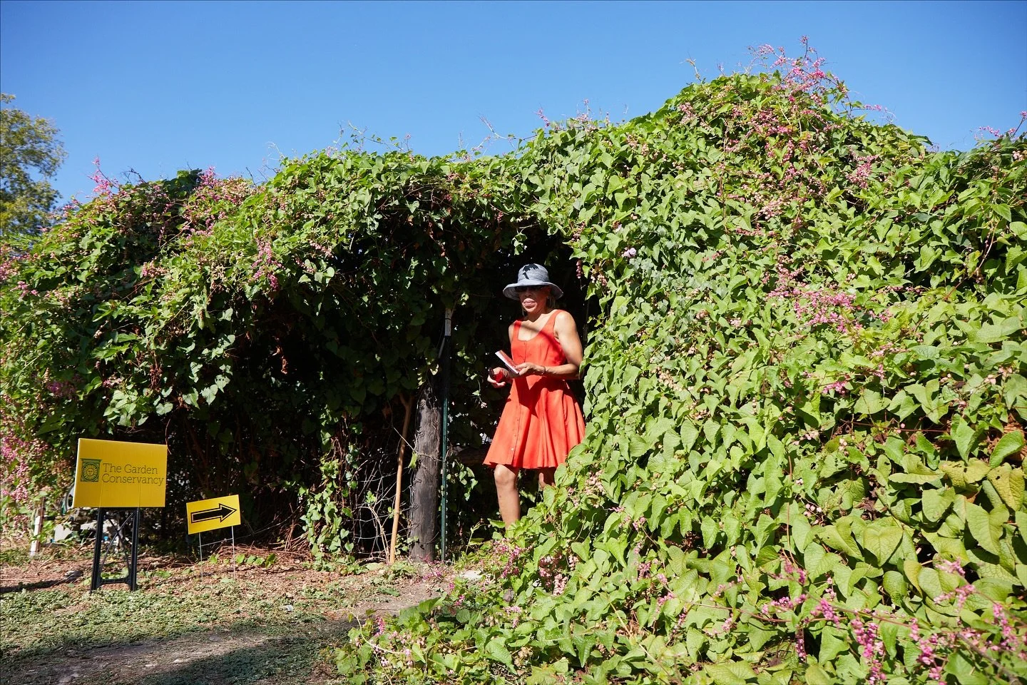 Hosting an Open Day tour involves both preparation and discovery, and the true reward comes from the attendees who arrive and experience the vibrant gardens with fresh eyes. 

With 1,244 tickets sold, this year&rsquo;s Travis County Open Day brought 