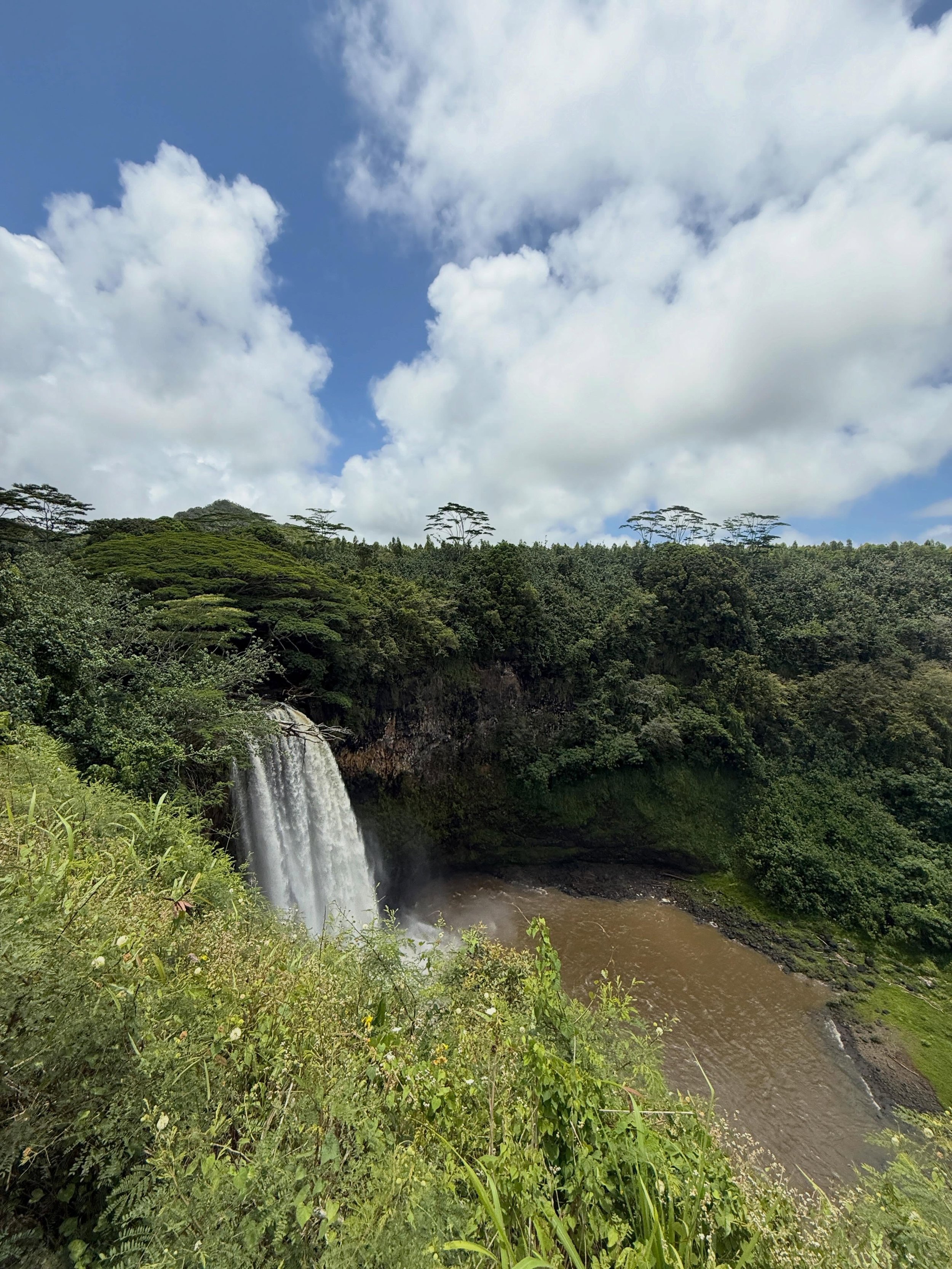 Recently we visited Kaua&lsquo;i and explored the island from the lush north shore to beautiful Wailua Falls to the Hanapepe Valley on the sunny southern coast. We can&rsquo;t wait to go back to the &ldquo;Garden Isle&rdquo;!