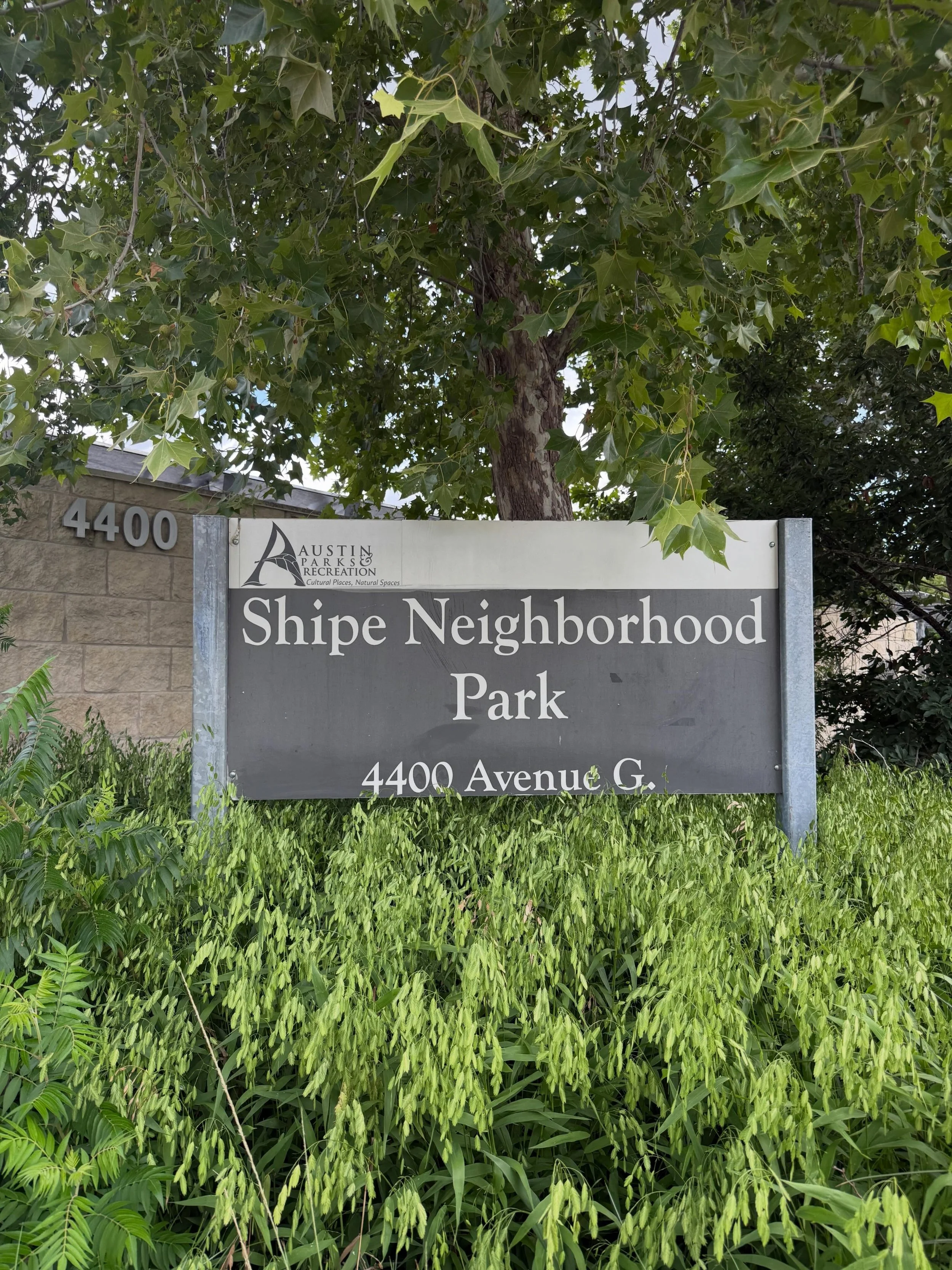 Great landscape design can happen at every scale, especially when it's rooted in benefitting your community.

We were honored to donate design services for an improvement project at Shipe Park, working with the Friends of Shipe Park to envision a new