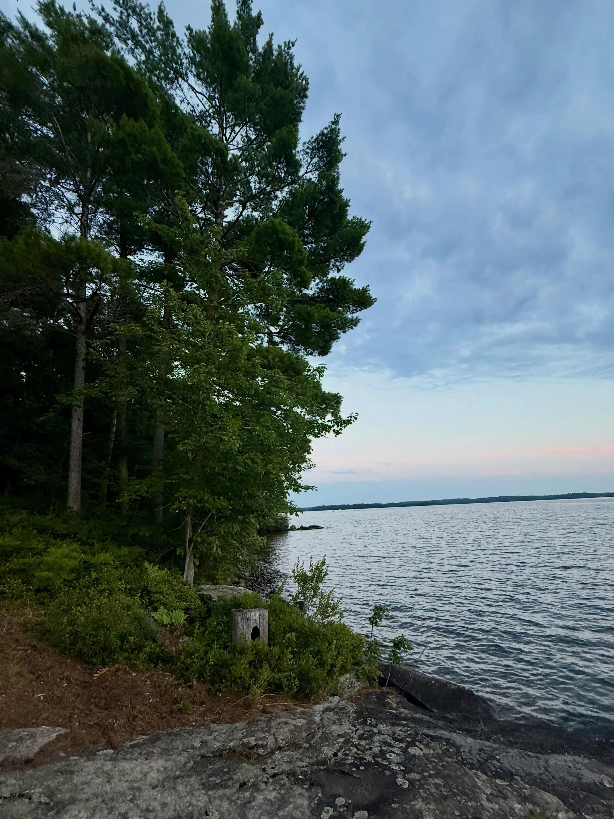We took a break from the Texas summer heat and visited beautiful Lake Muskoka, Ontario, where the landscape is defined by rocky shorelines, clear water and towering maple, spruce and pine trees. Our mornings were spent picking wild raspberries along 
