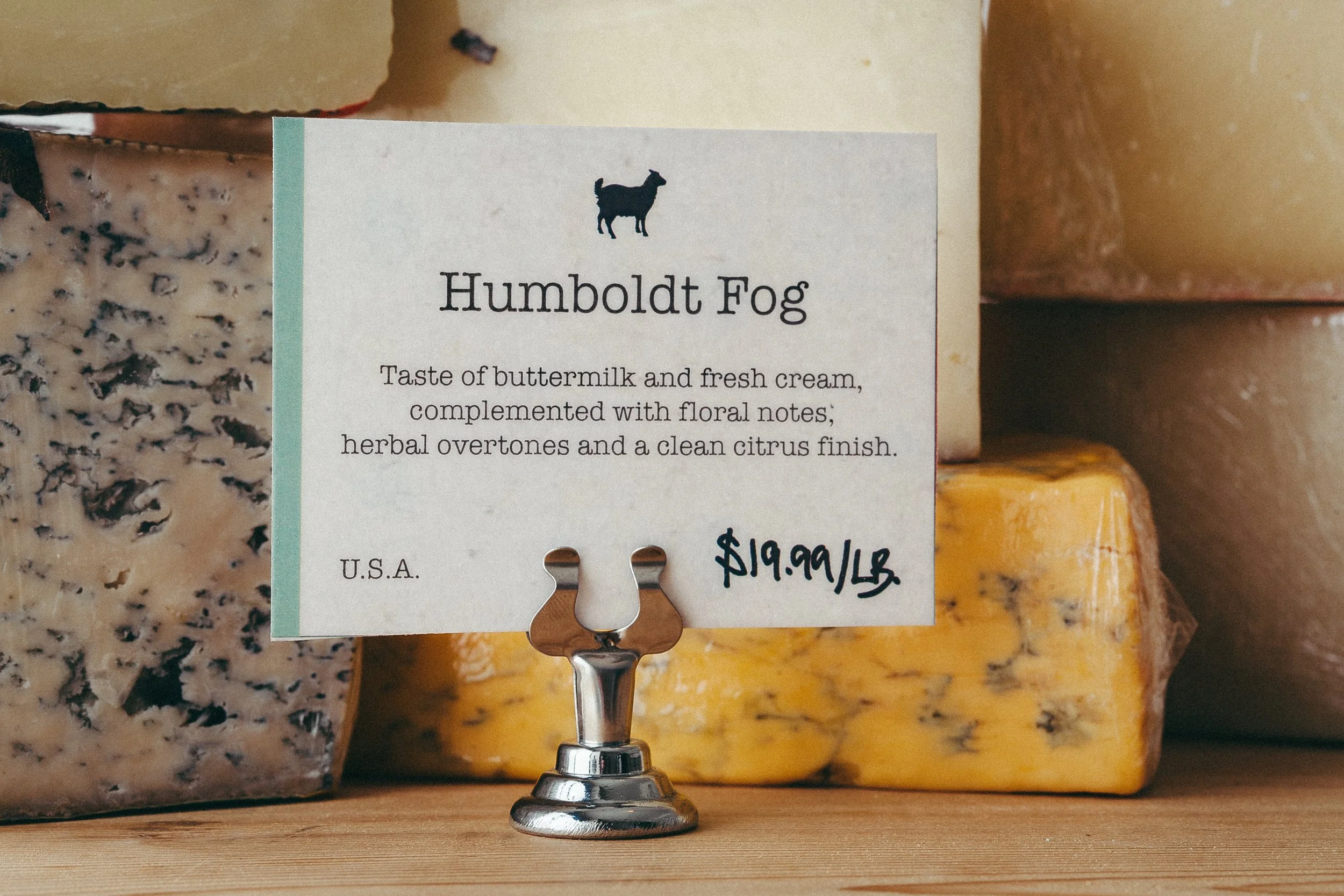 Cheese Signage — AVIVA ISENBERG | GRAPHIC DESIGNER