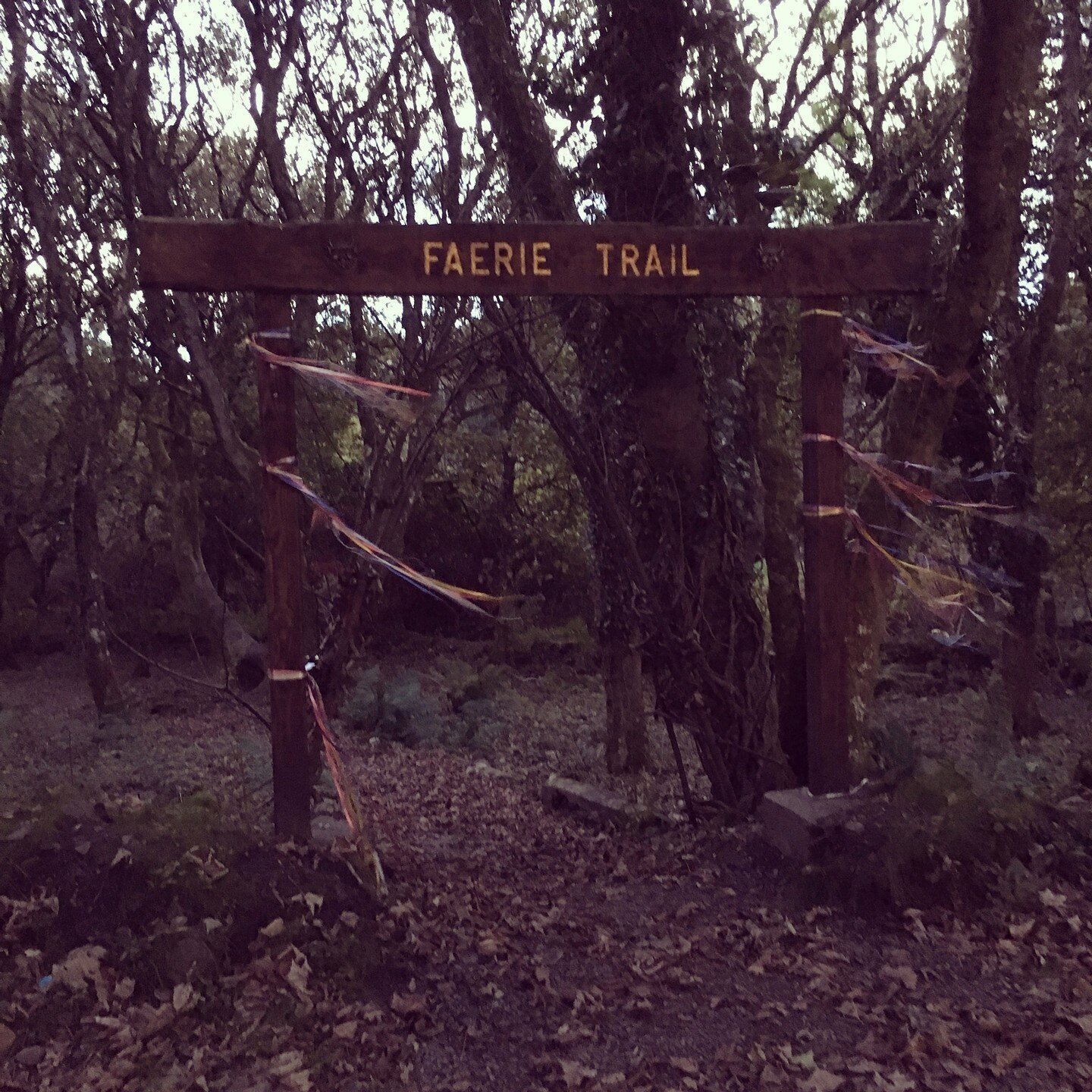 Ghost story...??⁠
⁠
I do acknowledge that I spook very easily, but staying alone in October in a mostly empty hostel overlooking this Faerie Trail in rural, isolated County Mayo was probably the most scared I've ever been.⁠
⁠
The bathroom was down th