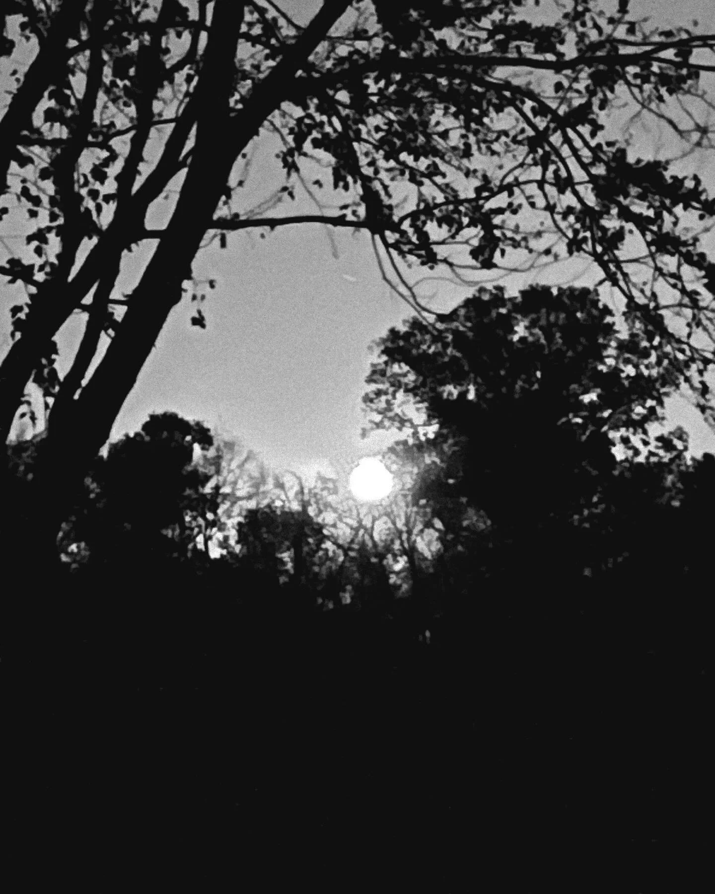 Farm moon rising