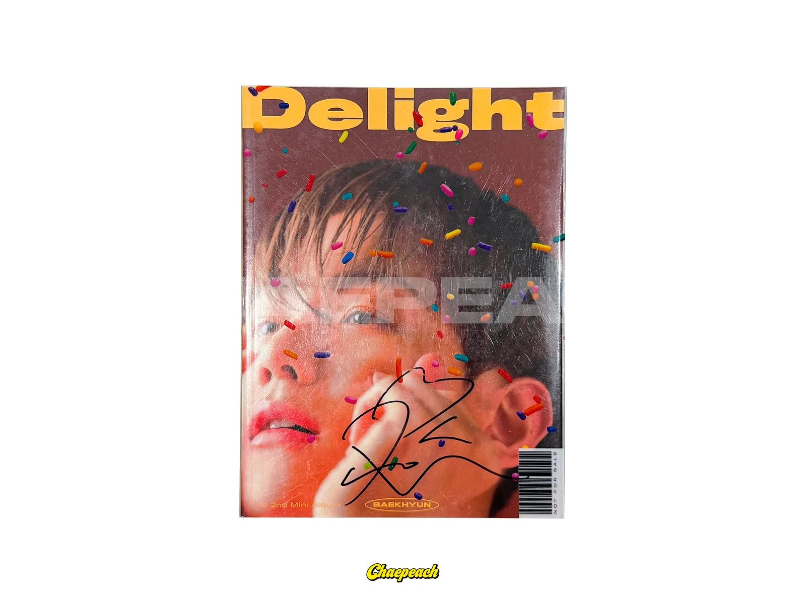 baek.jpg