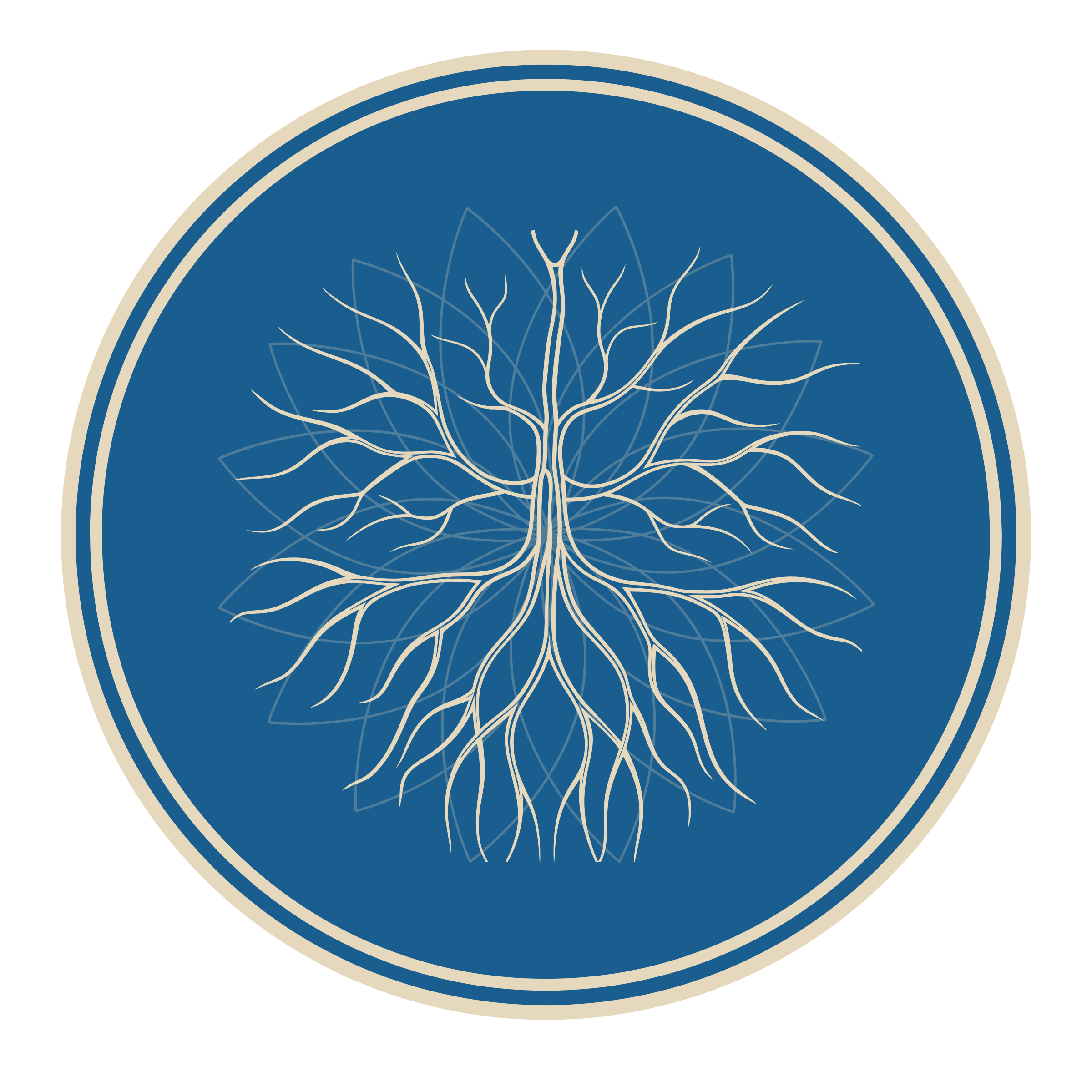 Nervous System Regulation