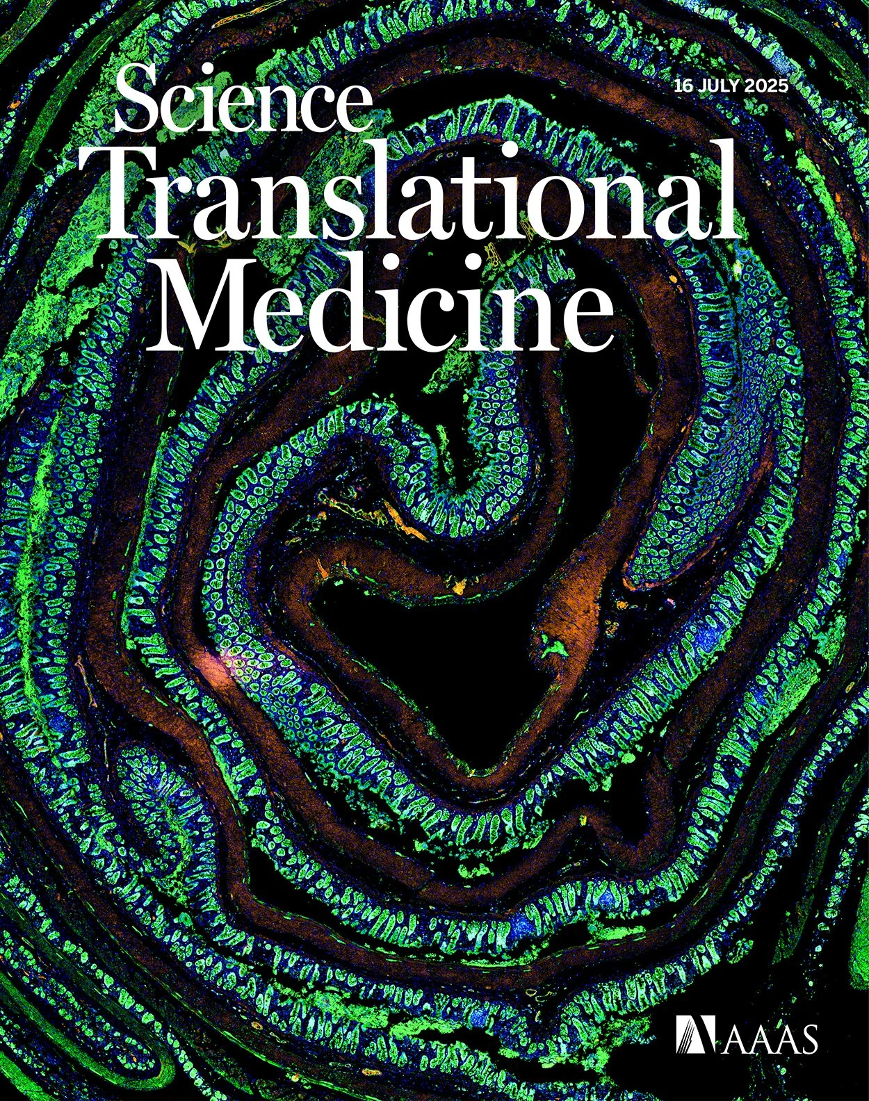 stm.2025.17.issue-807.largecover.jpg