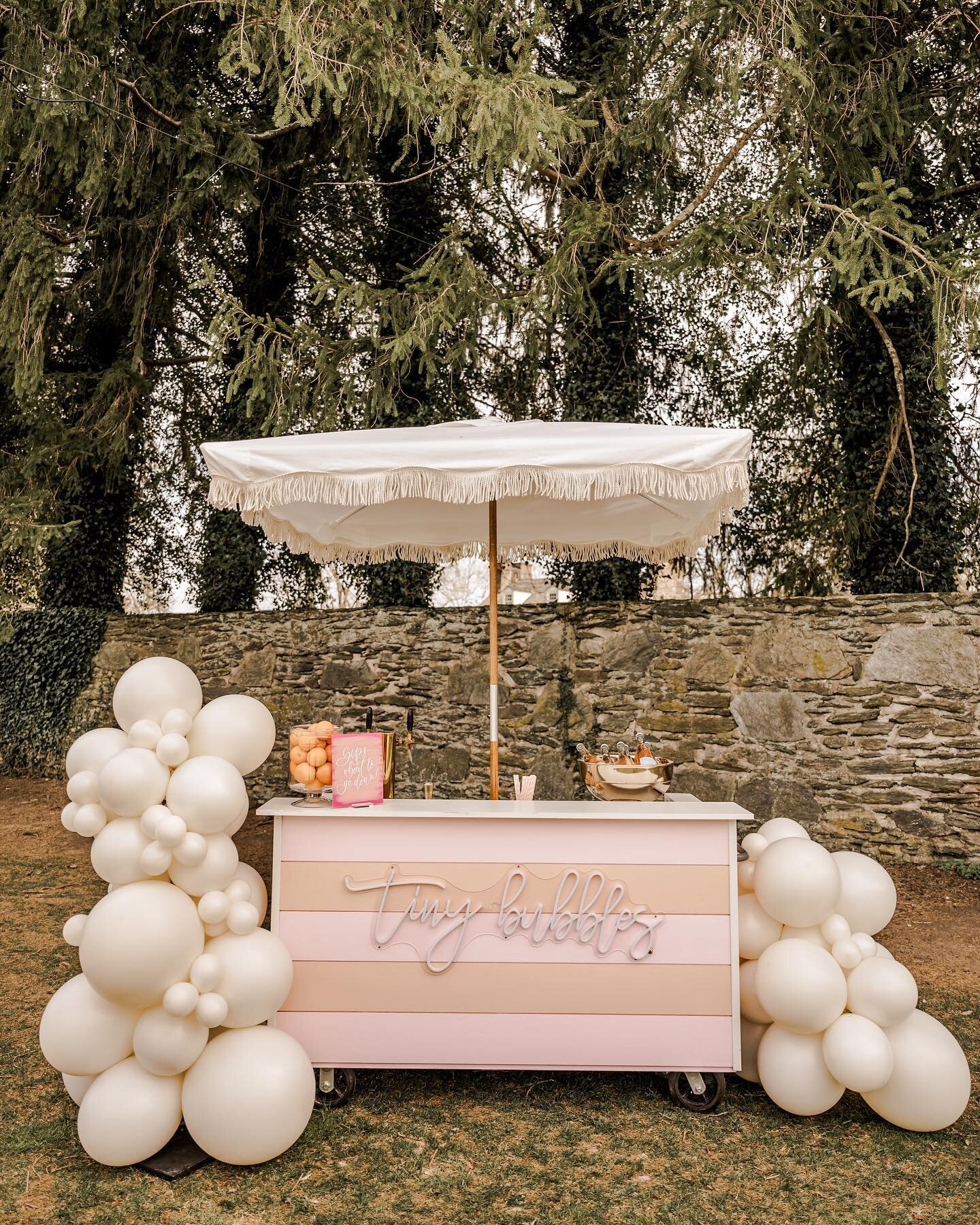 We are loving Louise with the adorable balloon garland! Thank you @sunmoonballoon 🎈🥂

&bull; VENDORS &bull;
Host/planning- Amanda Summers Photography
@asummersphoto 
Florist- Blossom &amp; Basket Boutique 
@blossomandbasketboutique 
Arches/rentals-