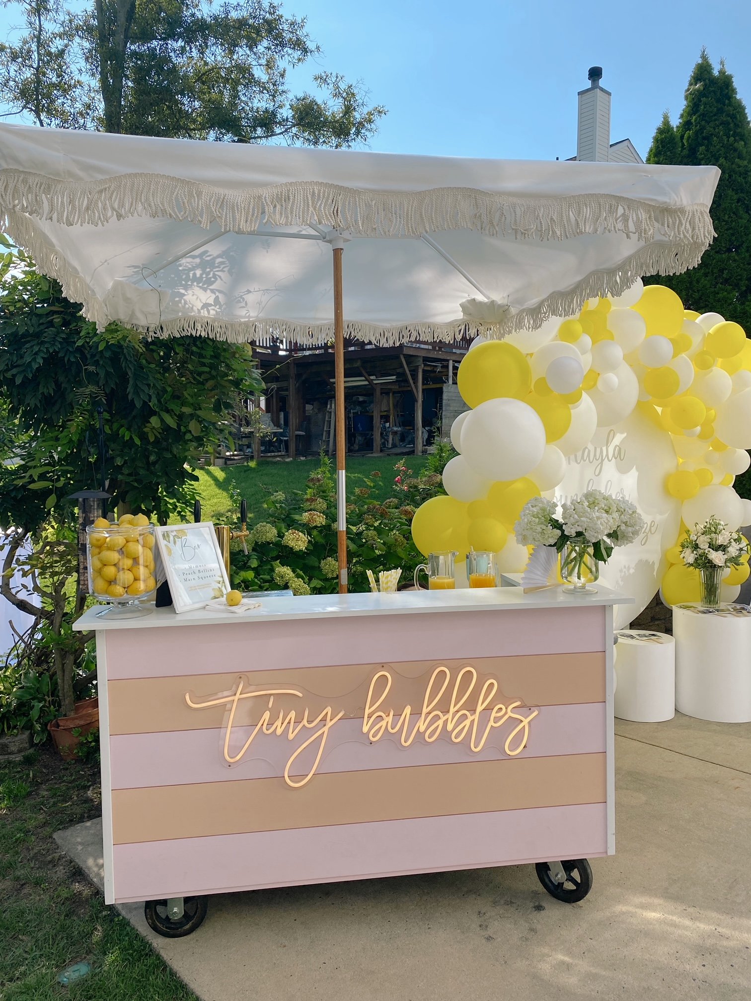 DB9E8B6E-758E-458A-A52E-170CD99CD134 tiny bubbles.JPG