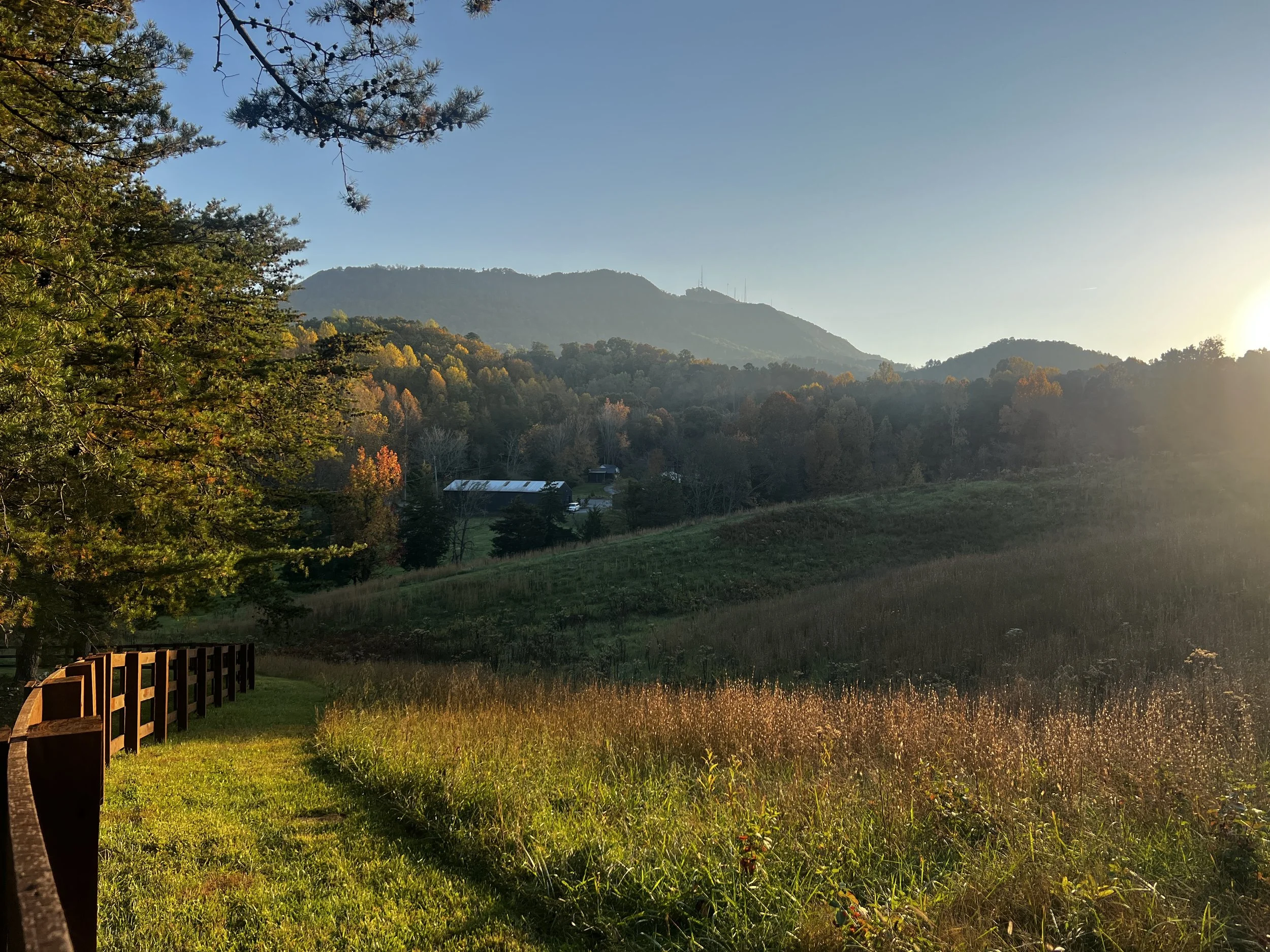 Sunlit rural landscape with a grassy field, a wooden fence, trees, and distant hills under a clear sky.