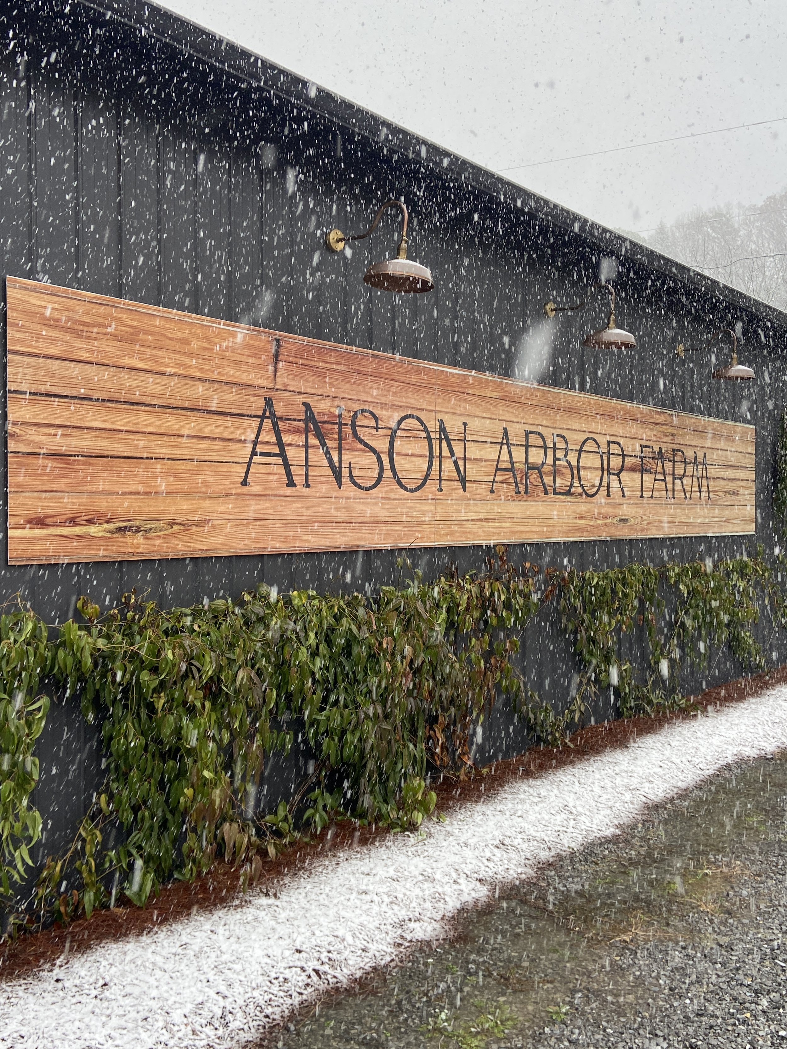 Wooden sign "ANSON ARBOR FARM" on a dark building wall with overhead lights and snow falling.