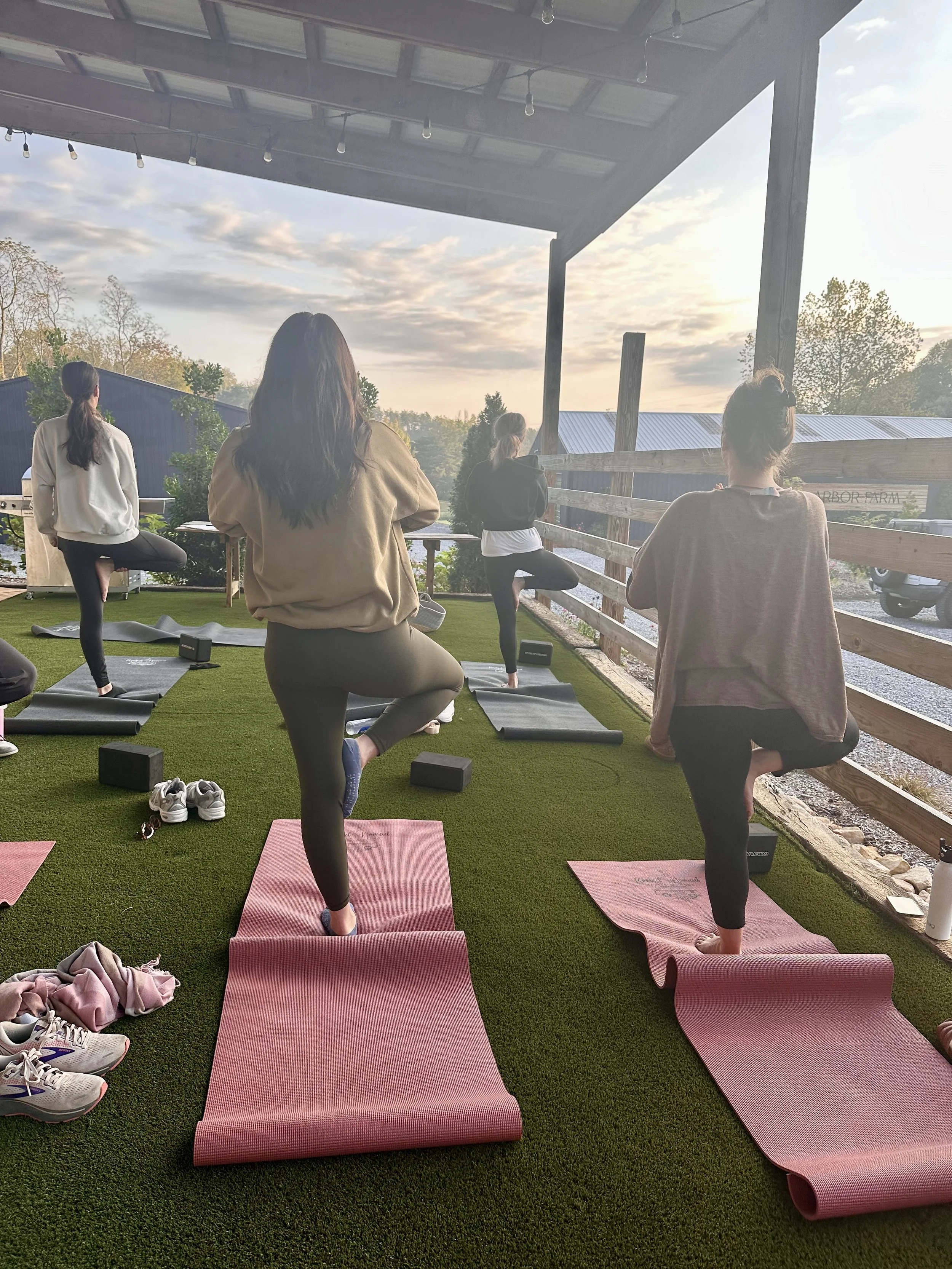 Group of people practicing yoga outdoors on a grassy area with yoga mats, performing tree pose under a wooden canopy.